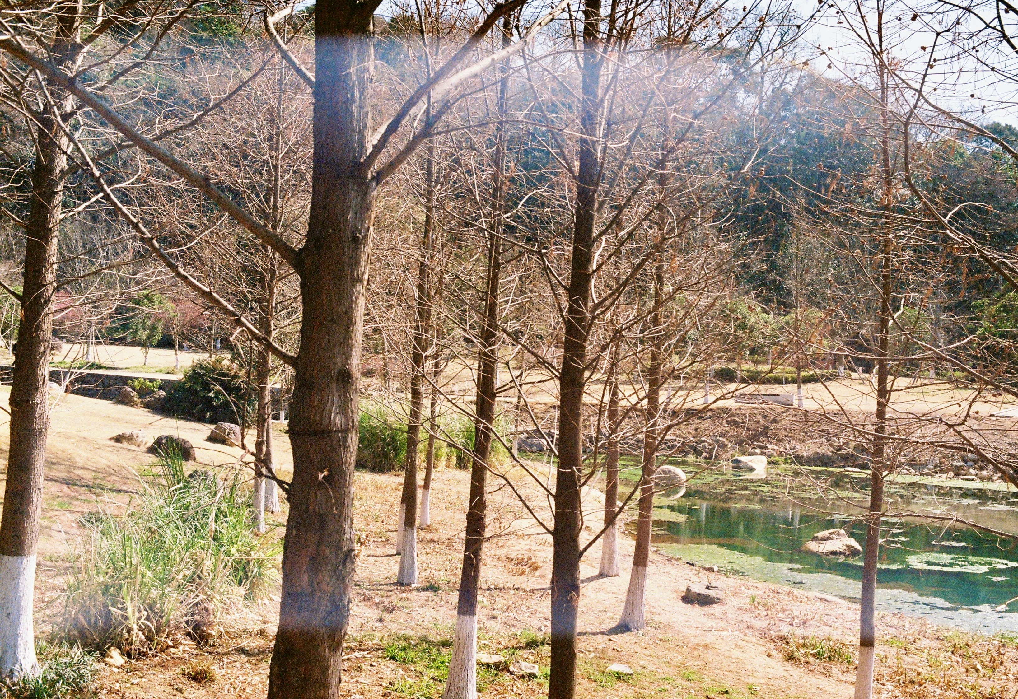 Photo by lwllwwlllwww