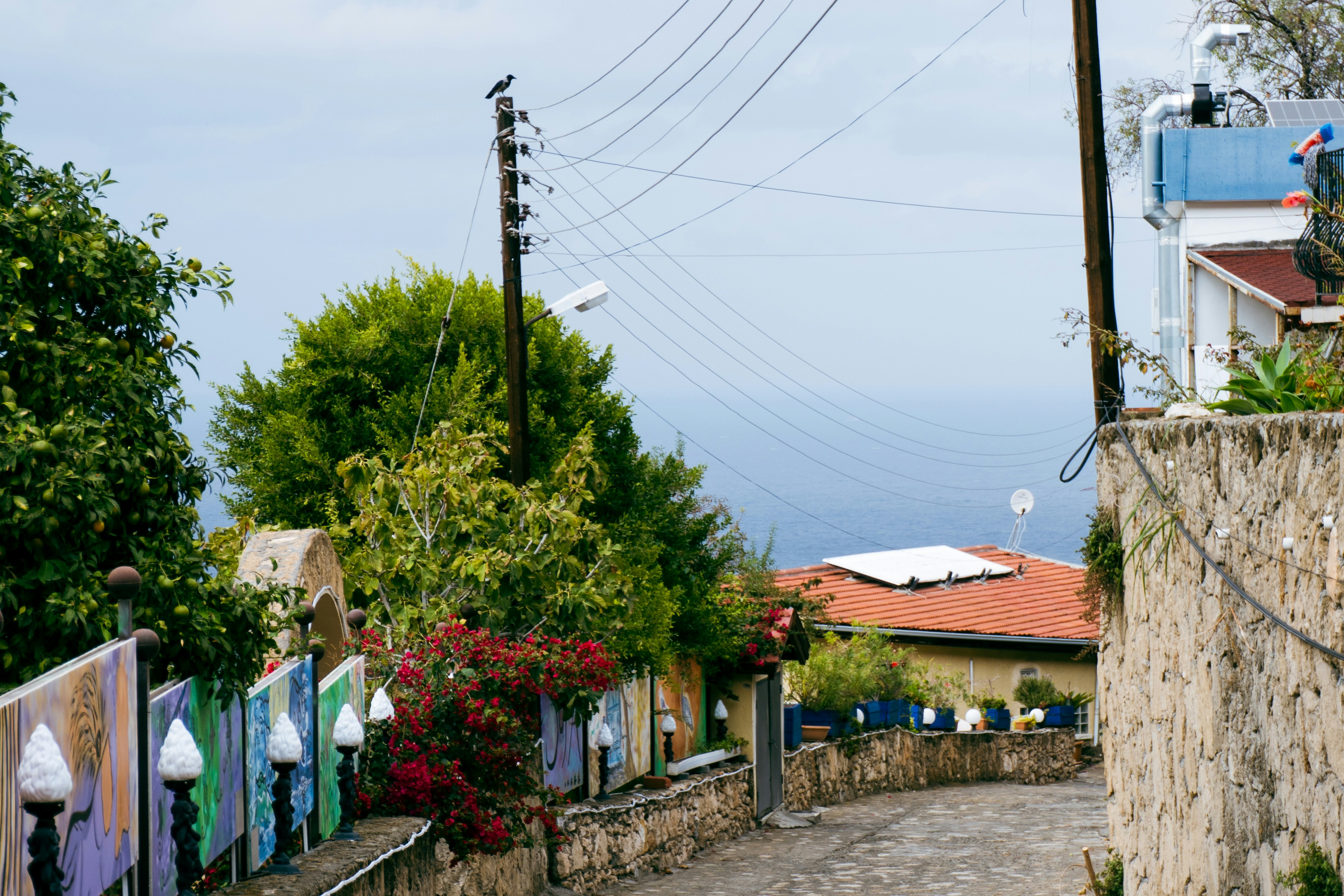 A winding road leads through a village towards the sea.
