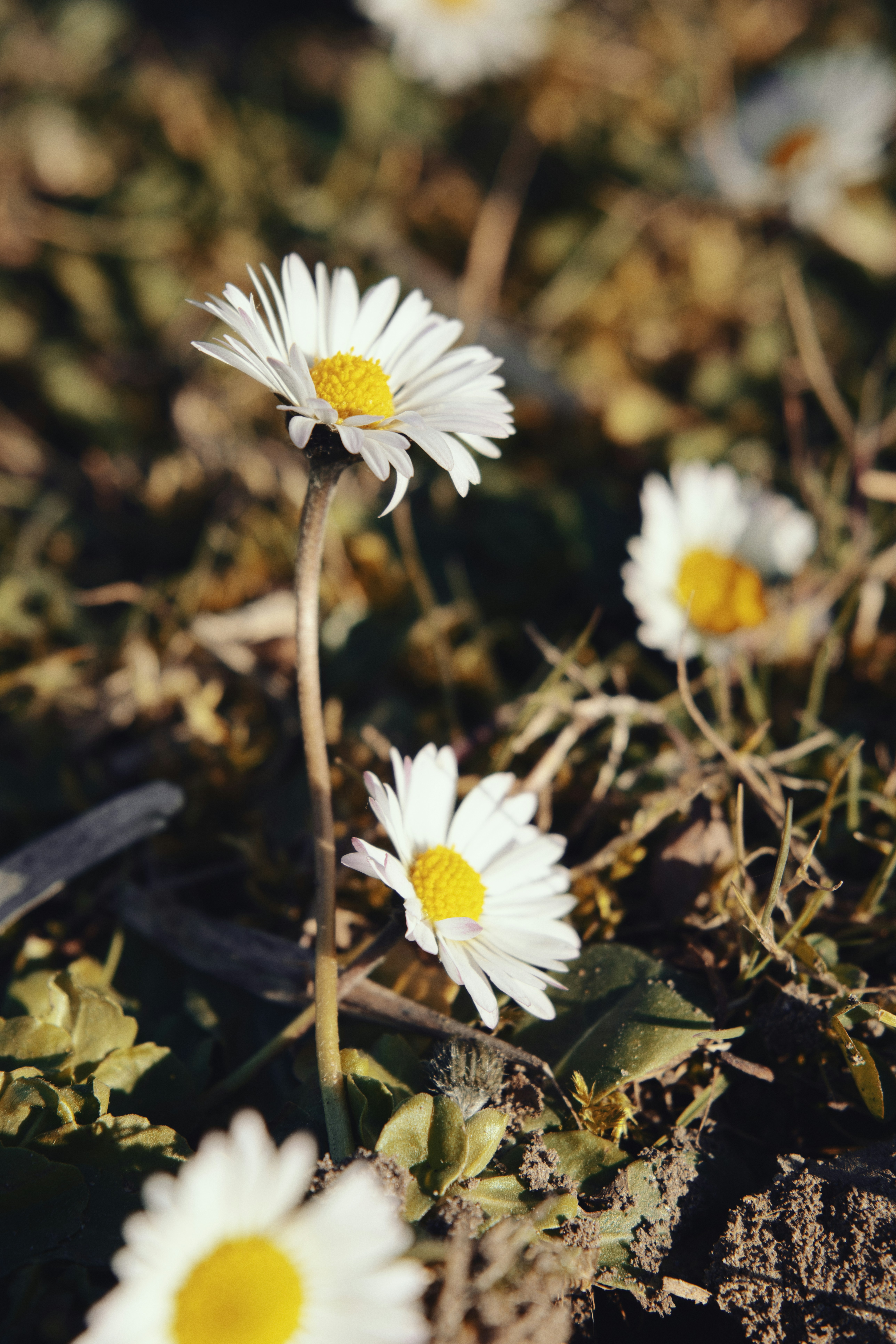 Photo by associatedtype