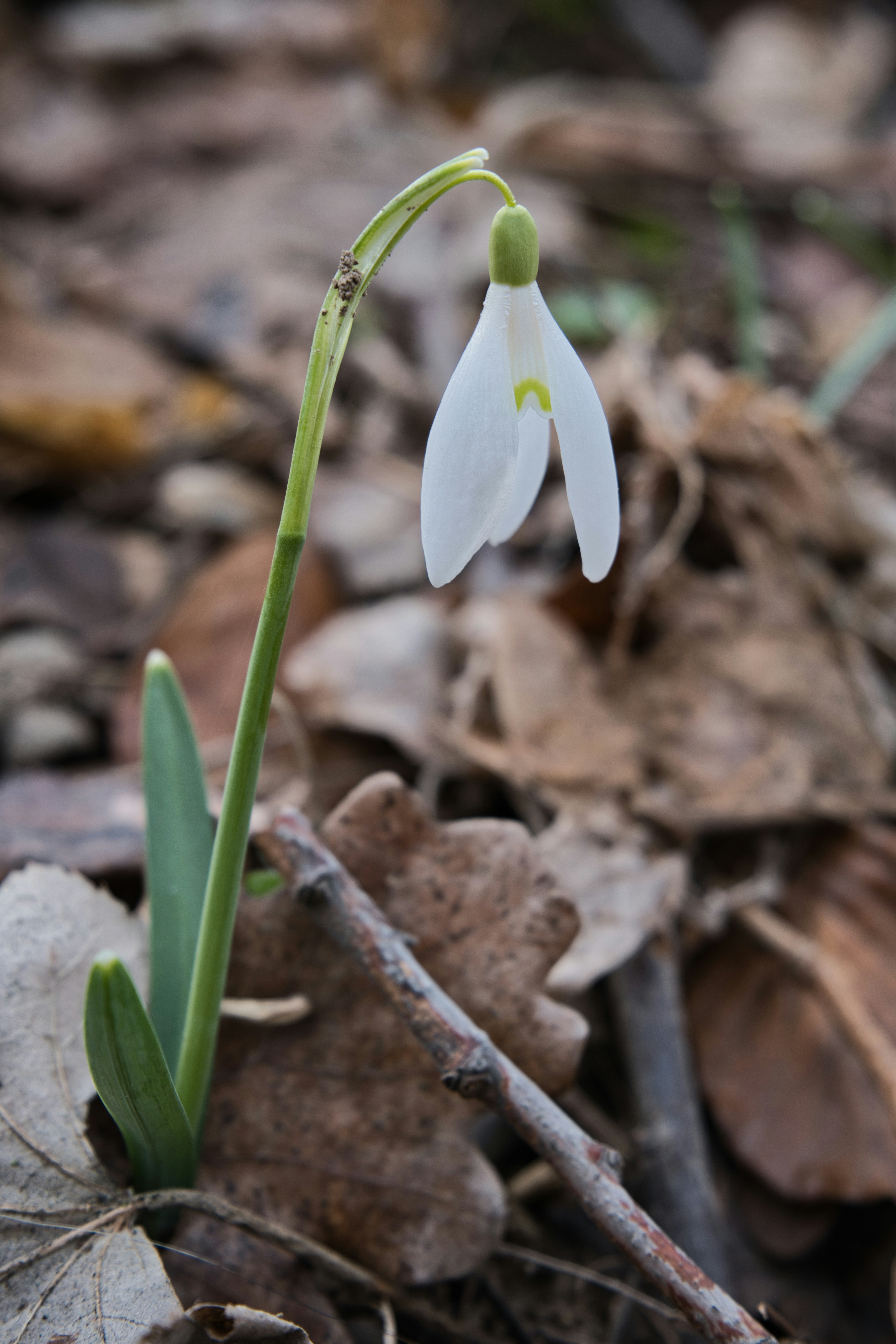 Photo by associatedtype