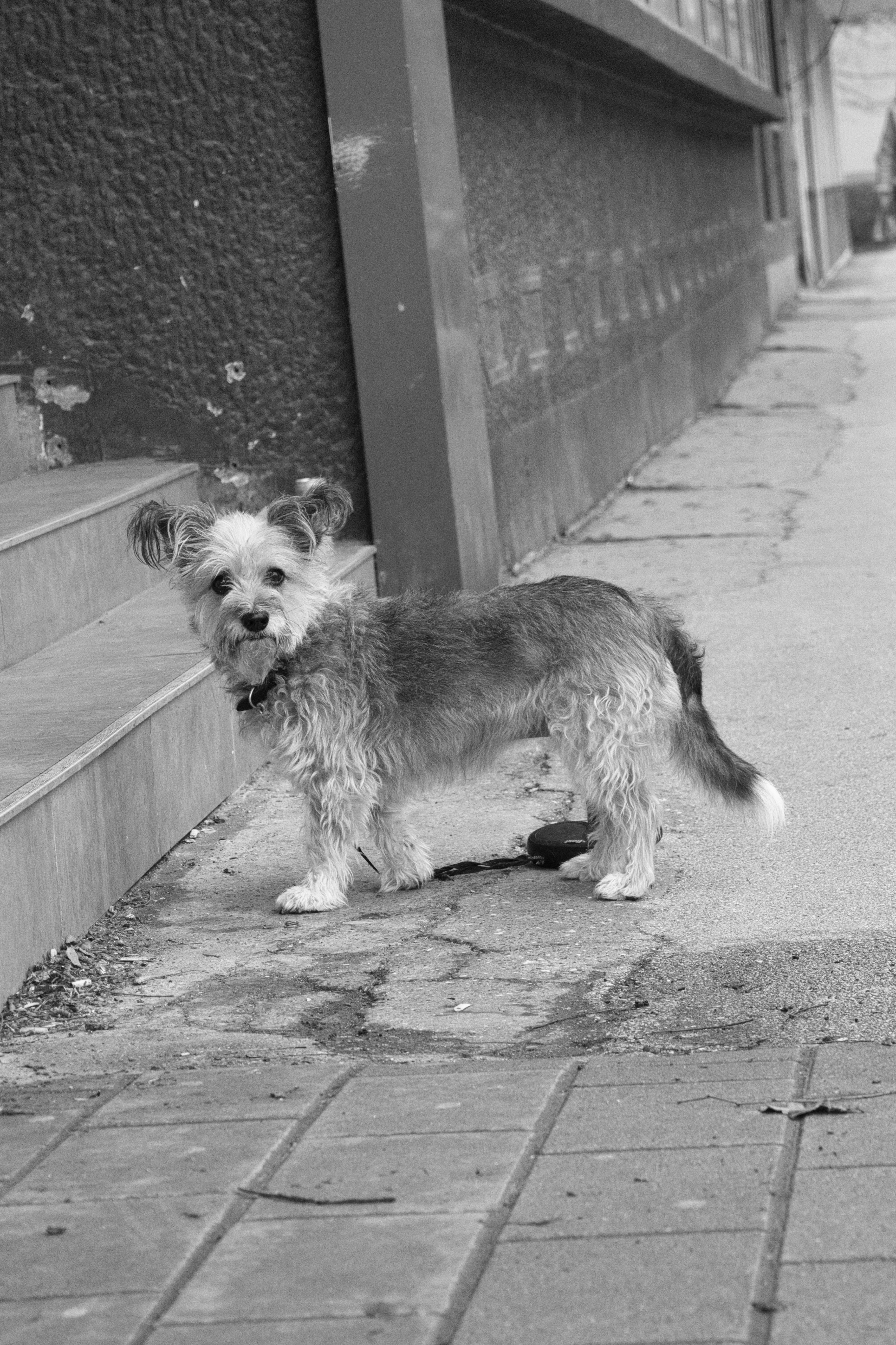 Photo by associatedtype