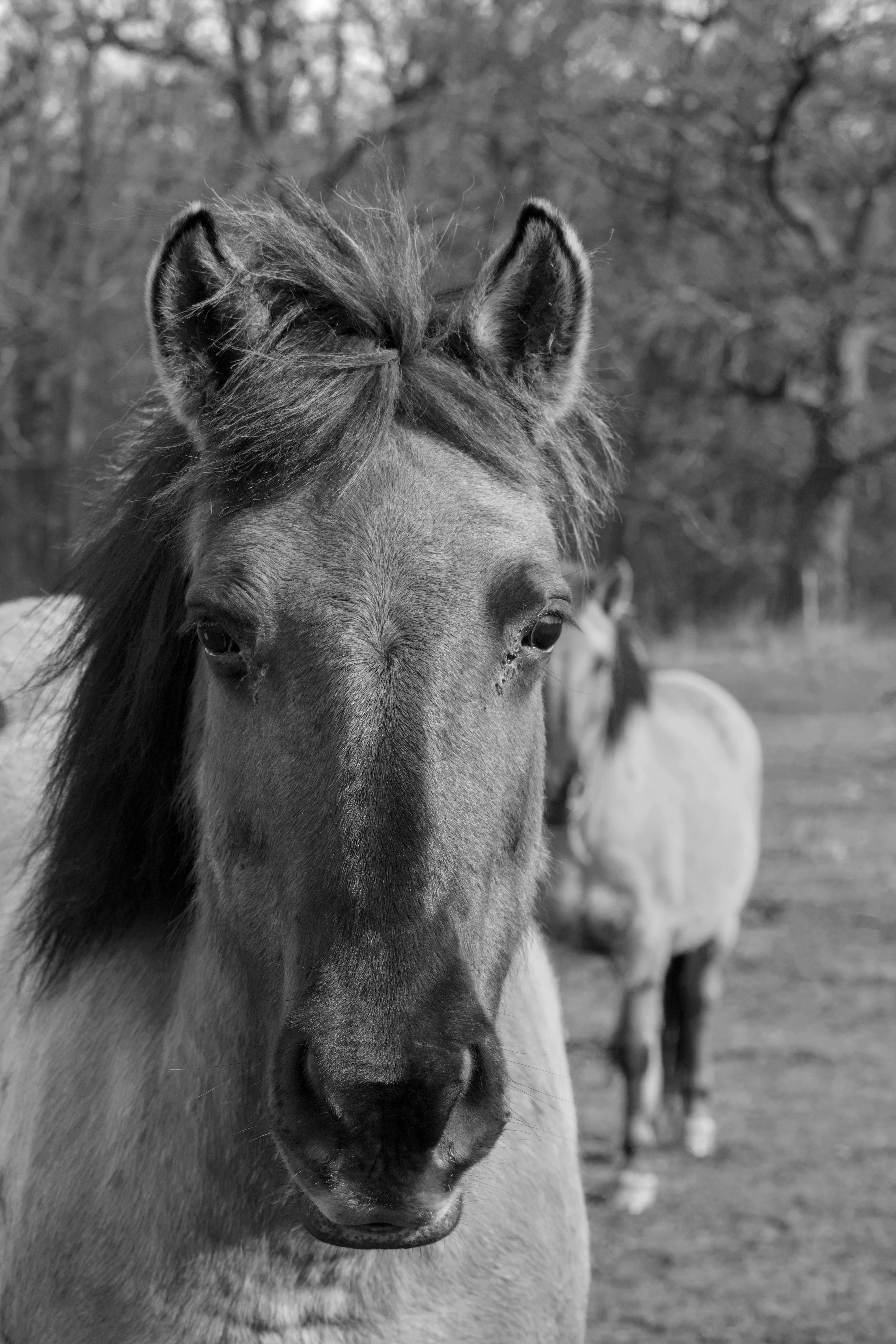 Photo by sveneisenschmidt