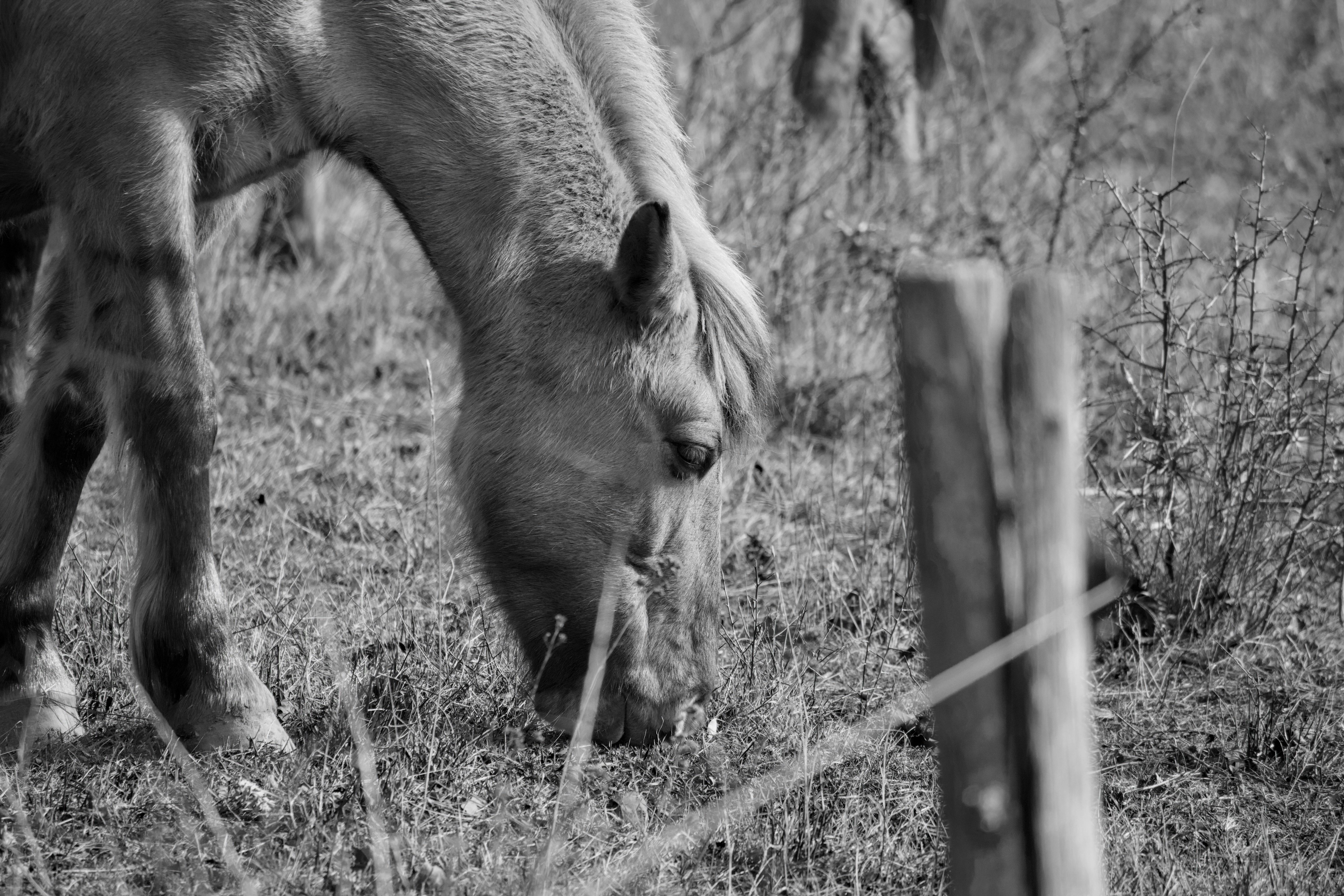 Photo by sveneisenschmidt