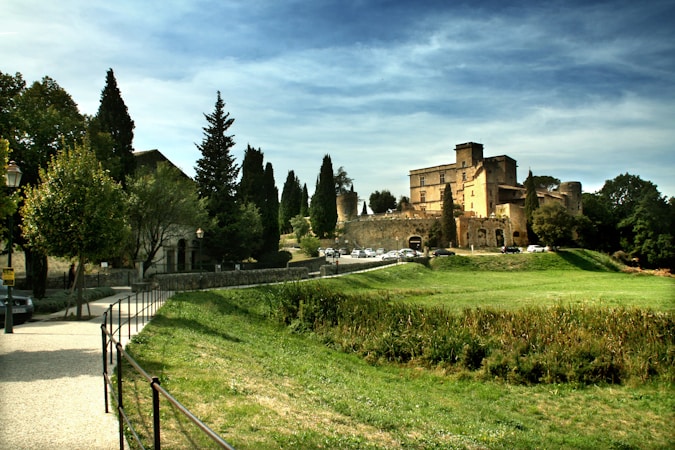 Castle on a hill with green fields and trees.