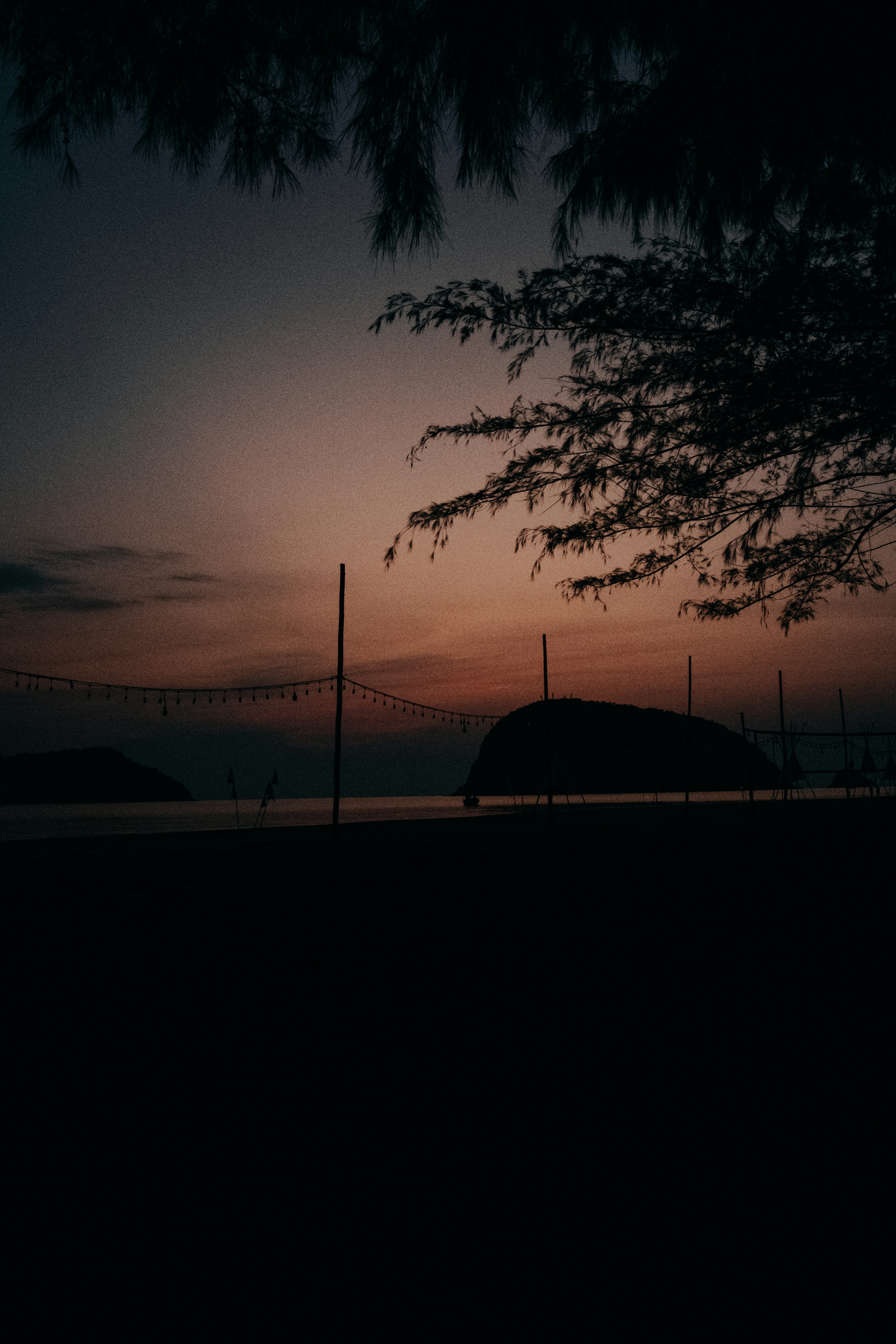 Silhouette of trees against a dusky sunset sky
