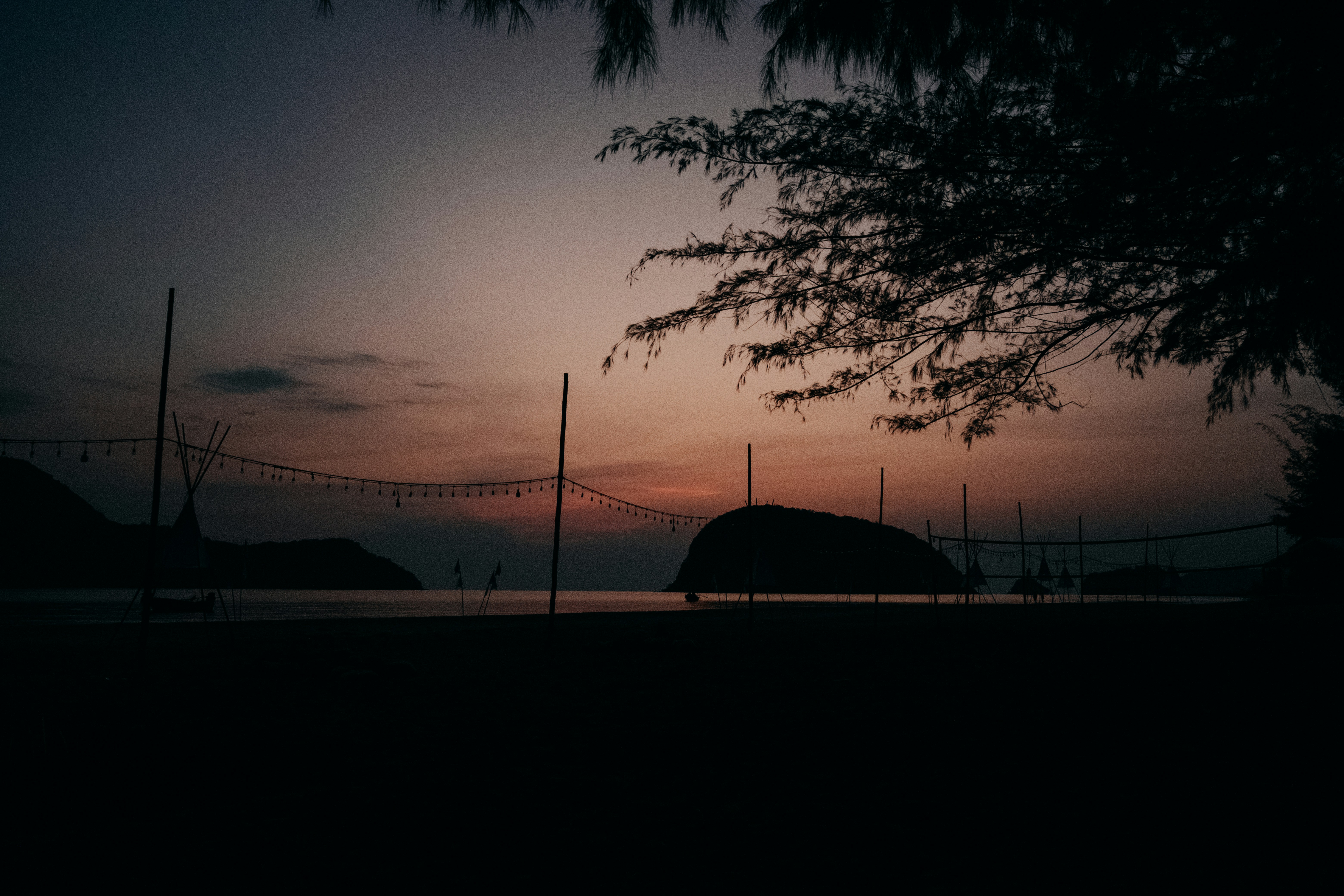 Silhouette of trees and a bay at sunset