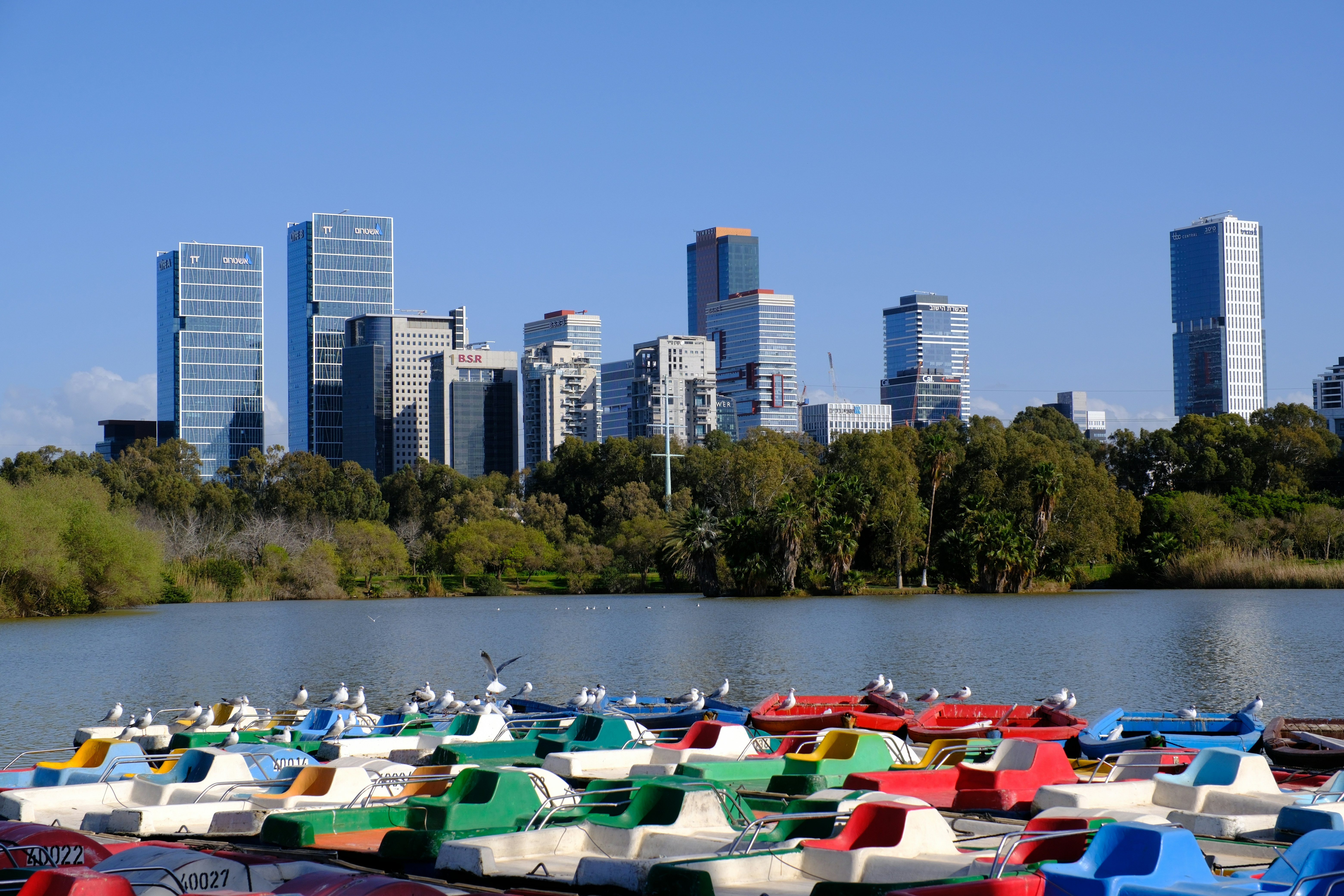 Colorful paddle boats docked on a lake with city skyline.