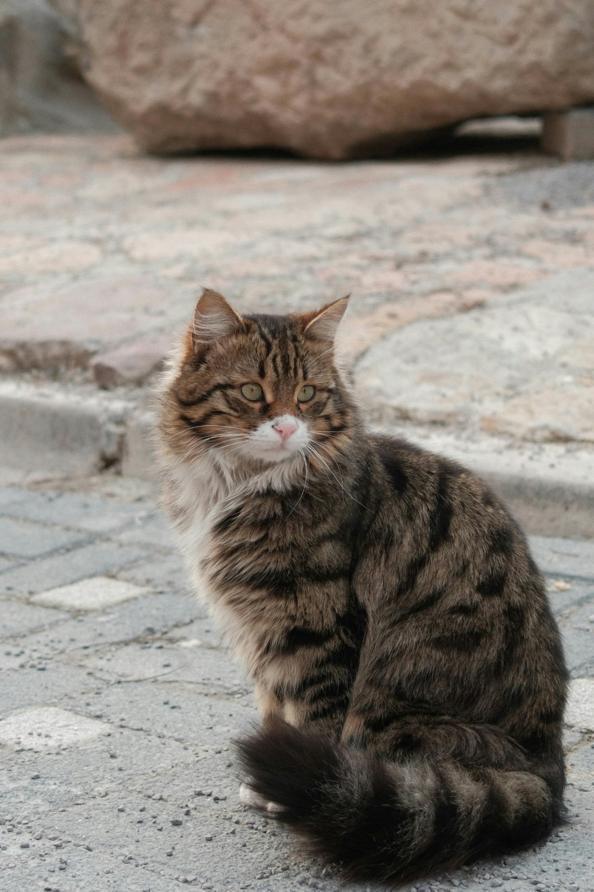 Photo by dipenpatel0810