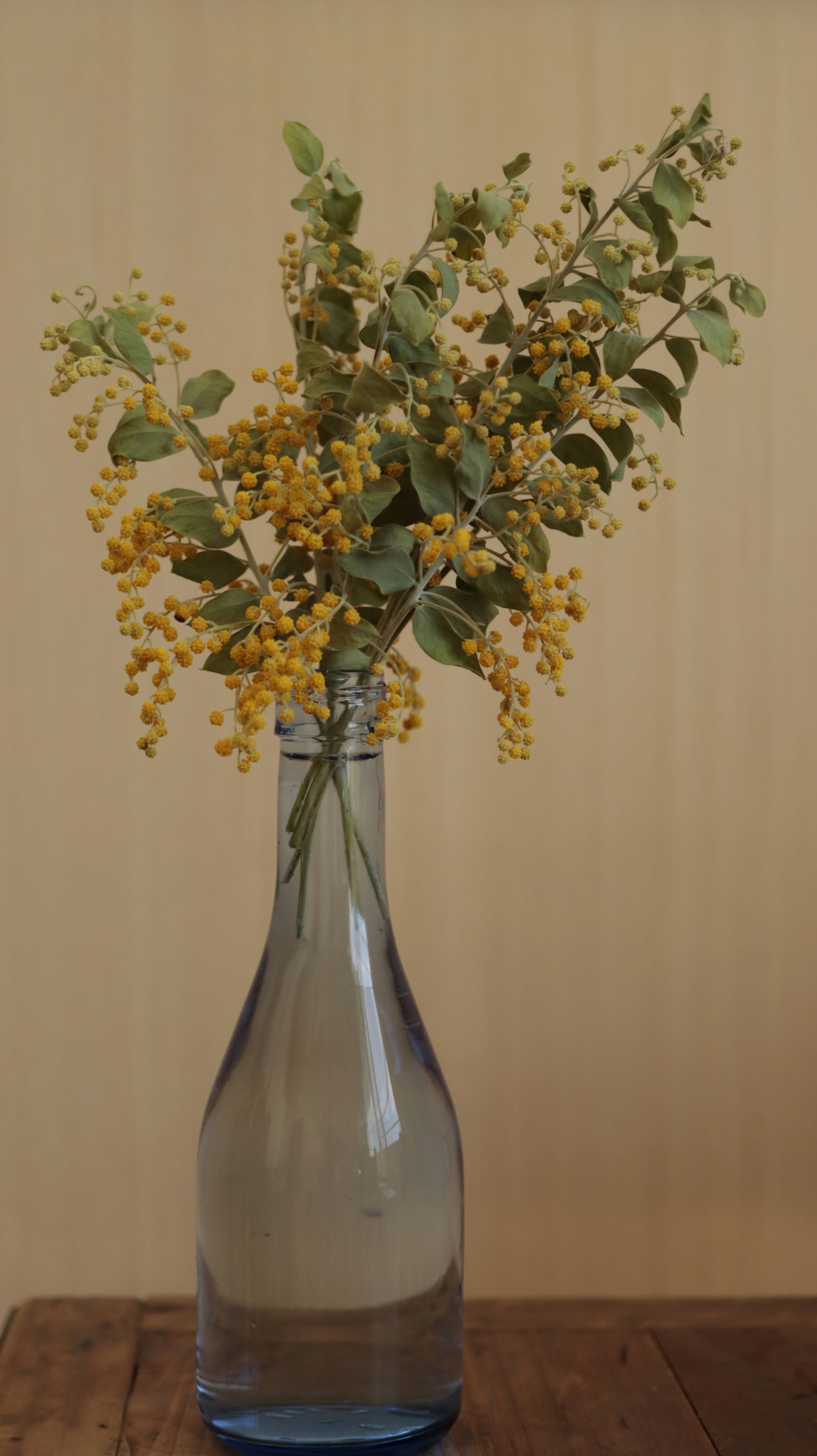 Photo by onikyoukan747