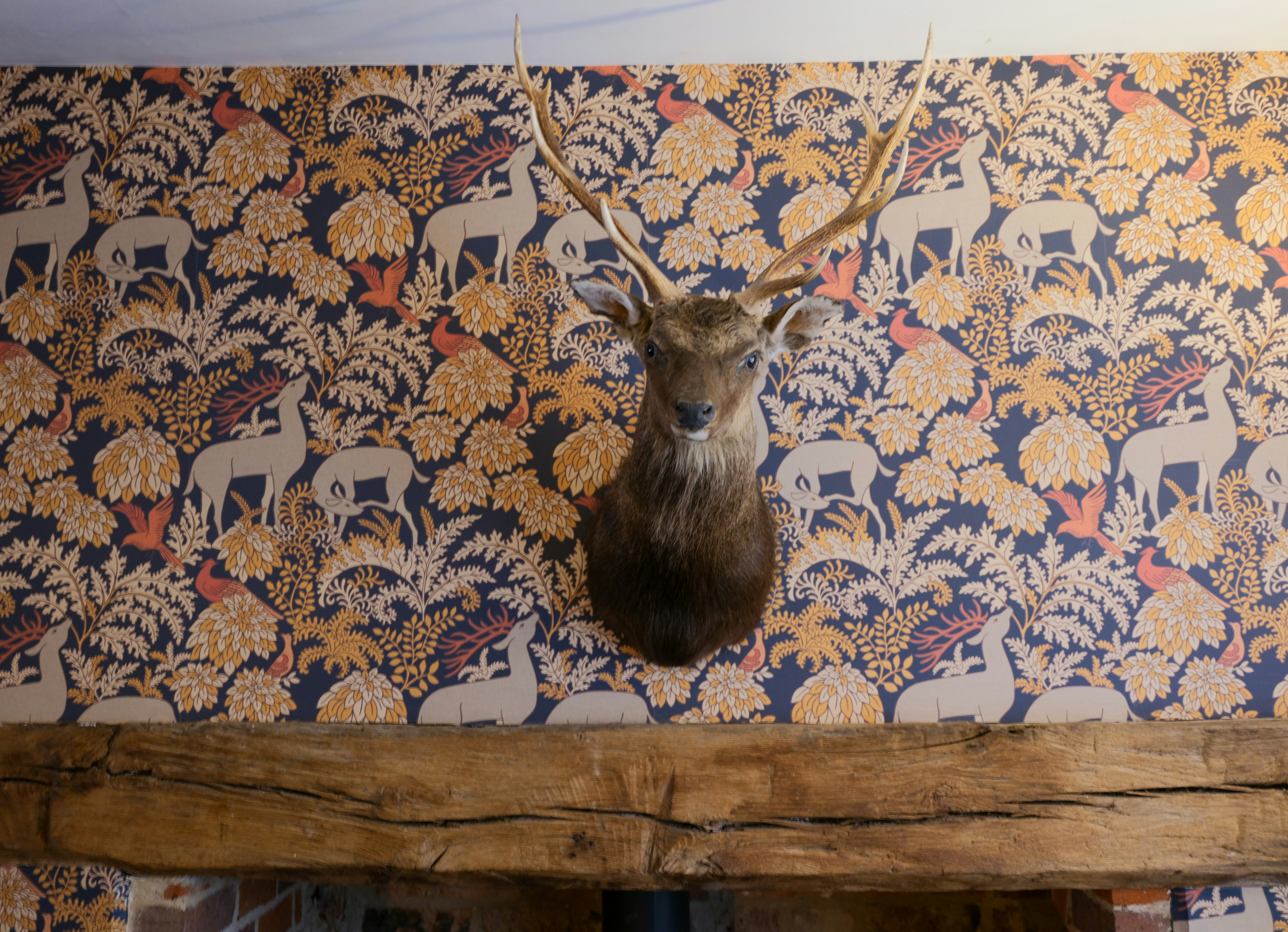 rustic antler wallpaper, wallpaper, Deer Antler Crafts: Unique Ideas for Adults 5