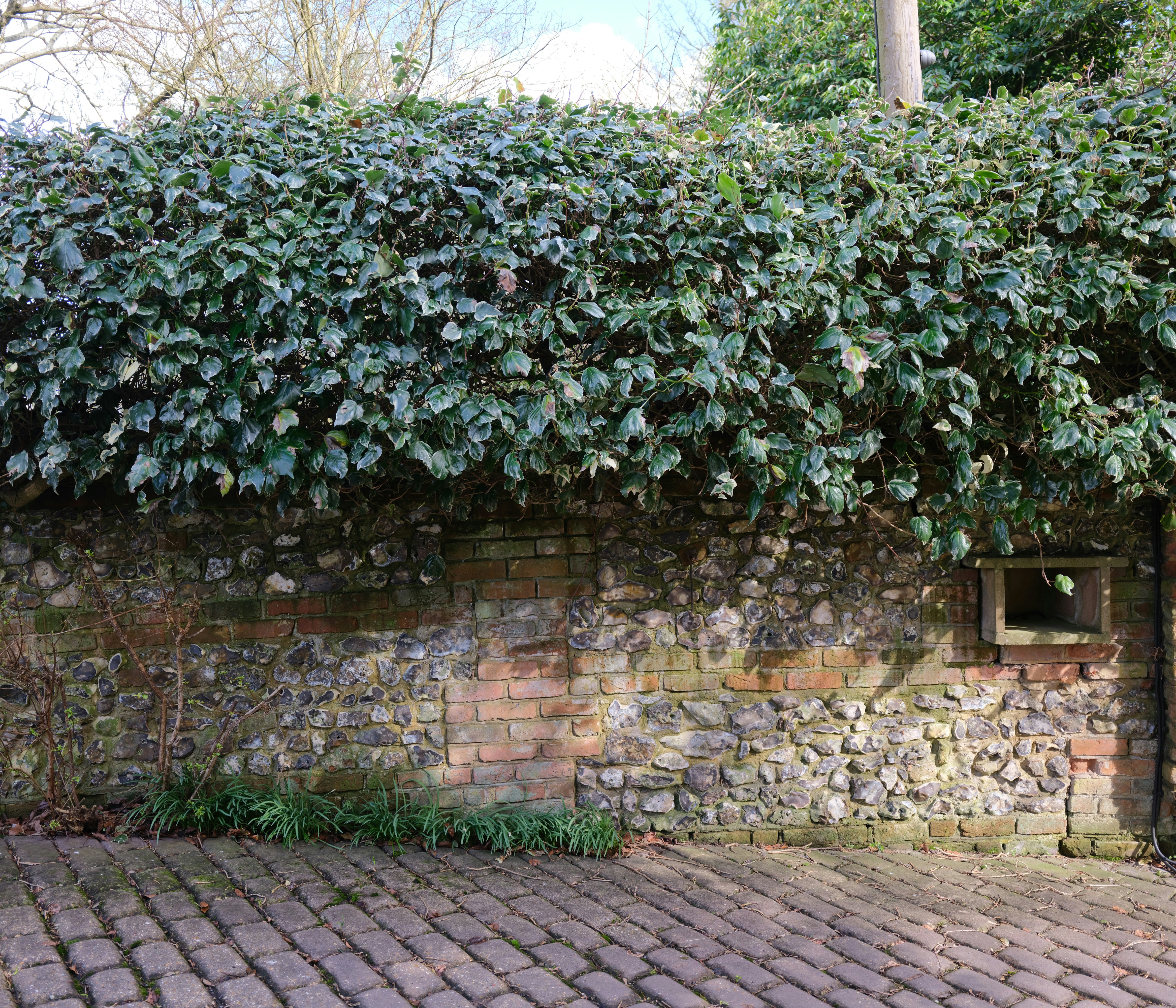 Photo by tanyabarrow