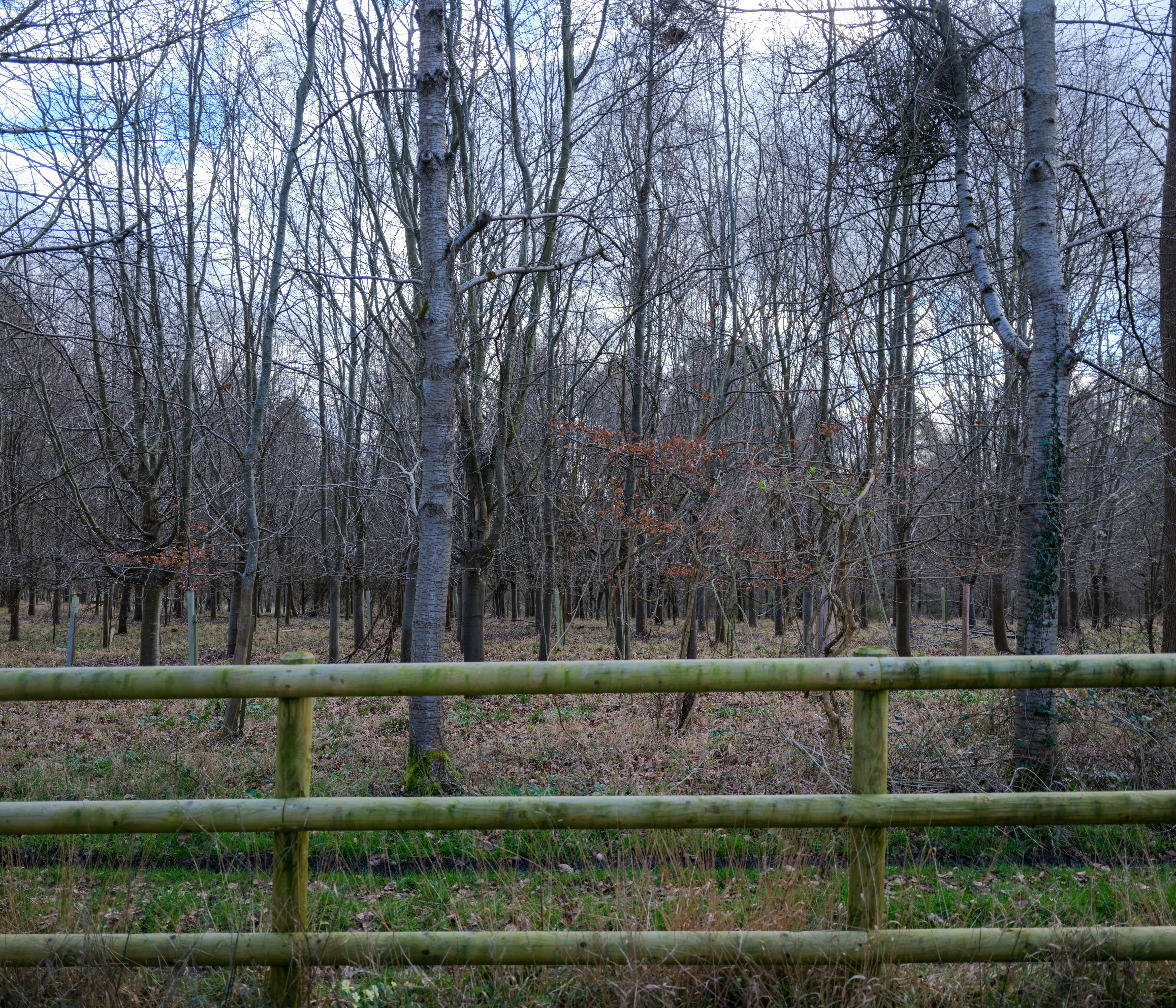 Photo by tanyabarrow