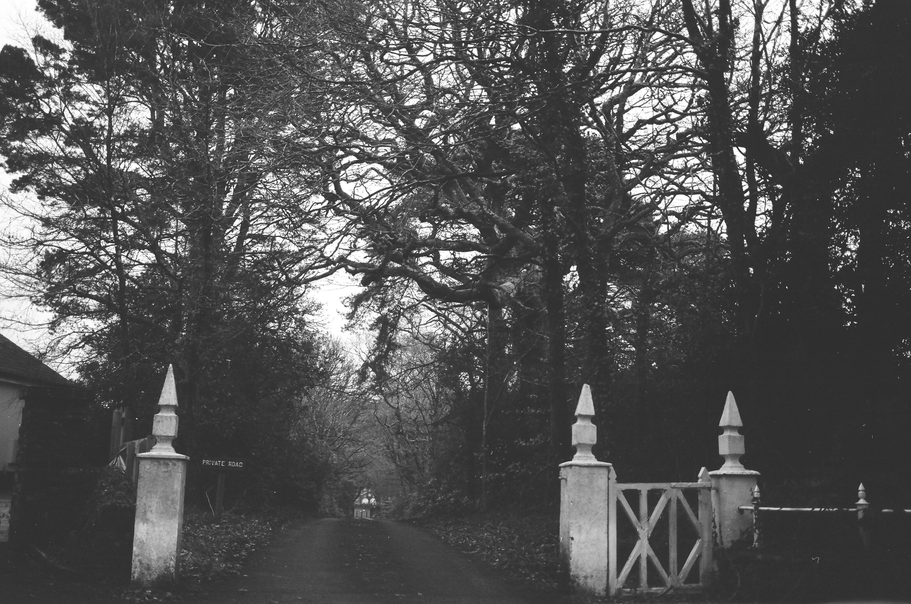 Photo by tanyabarrow