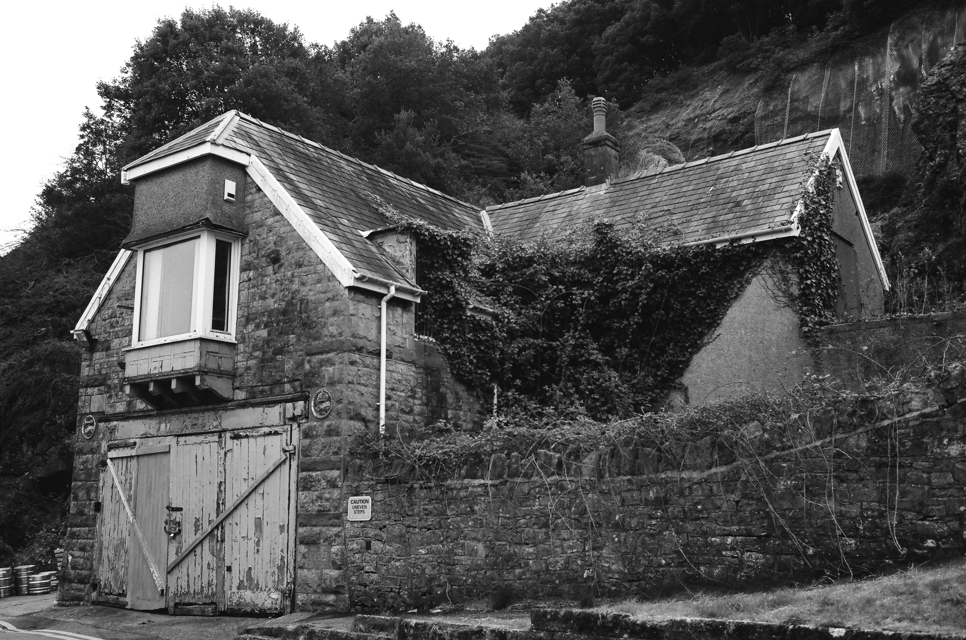 Photo by tanyabarrow