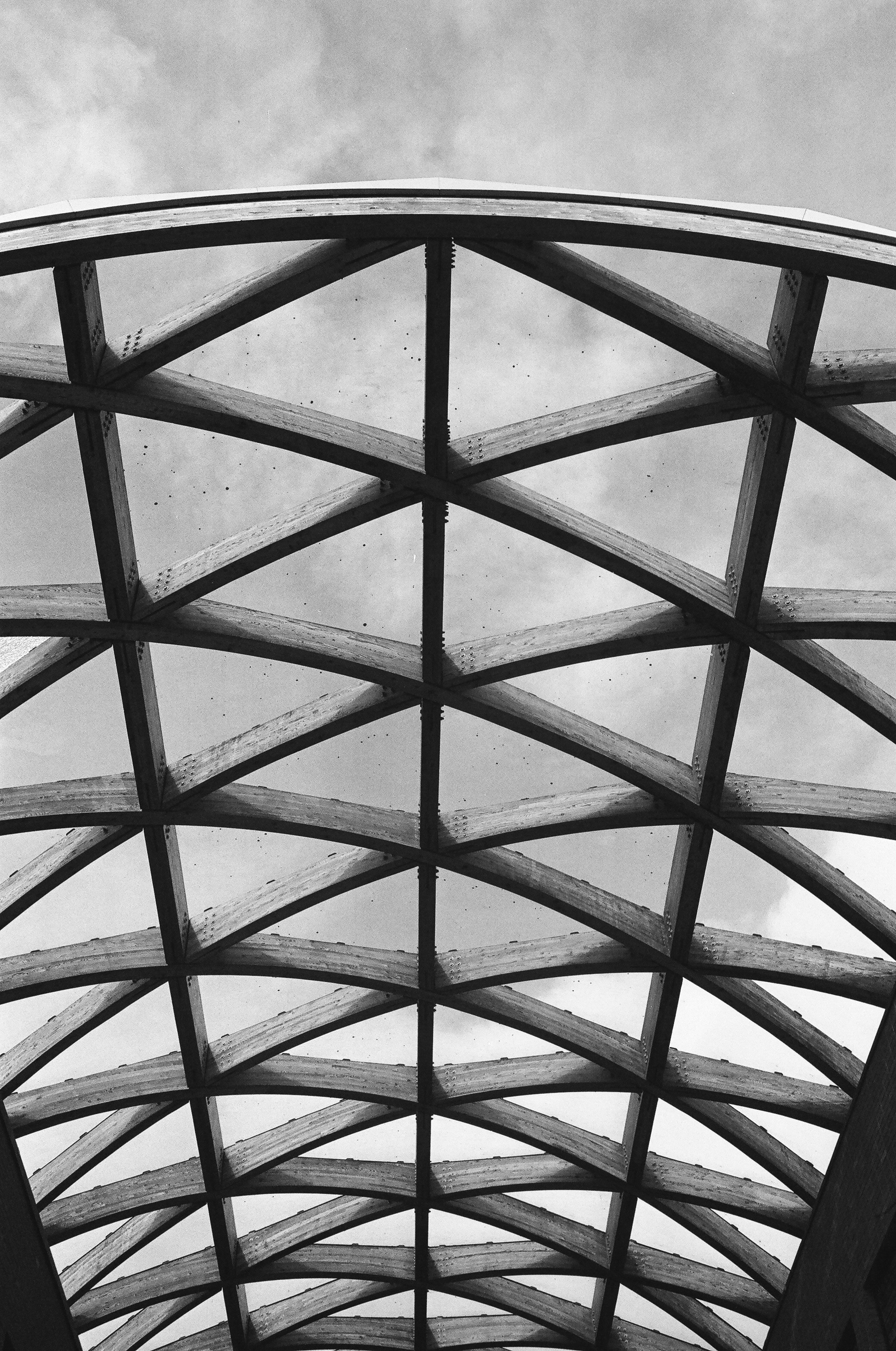 Photo by tanyabarrow