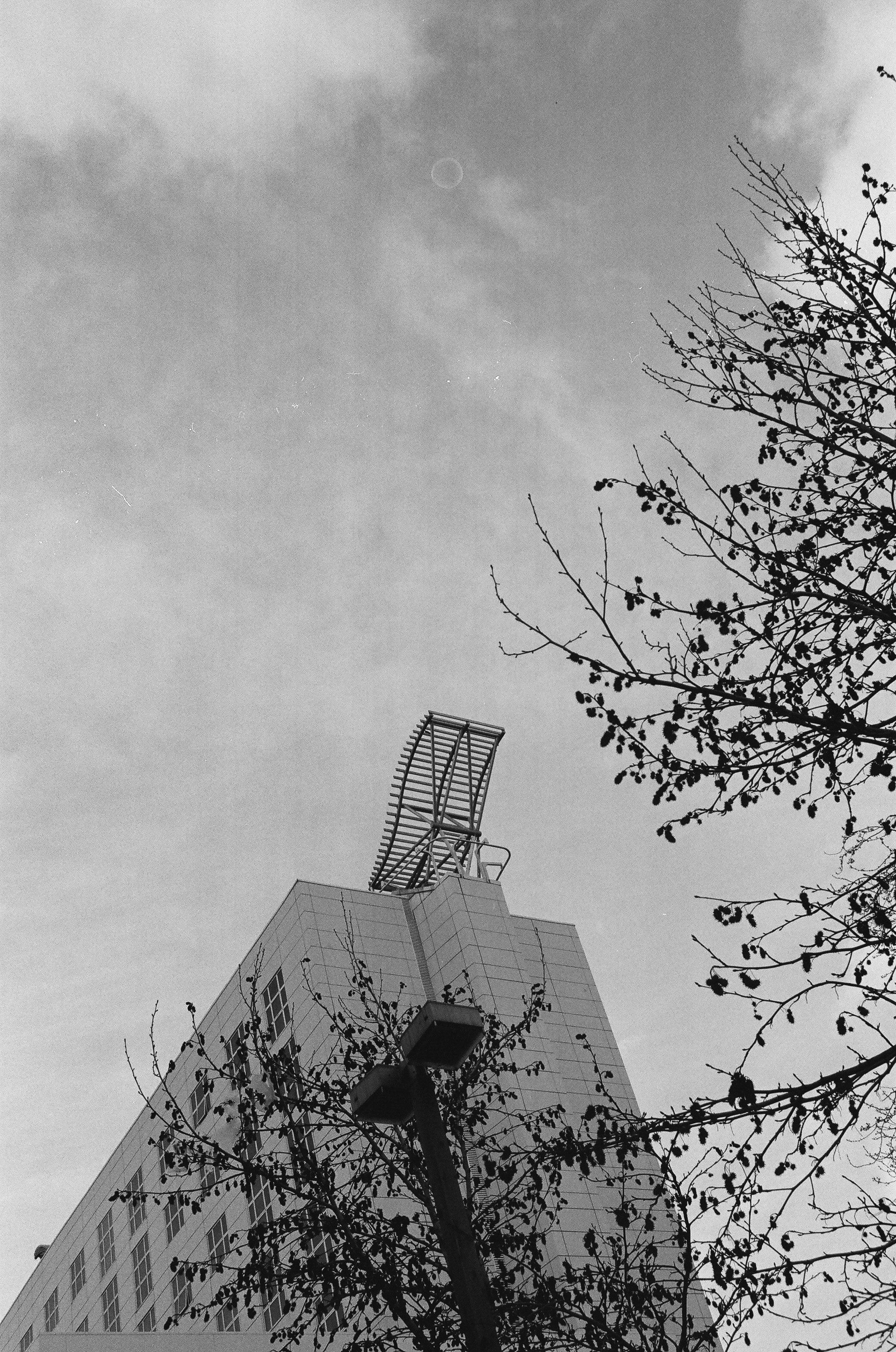 Photo by tanyabarrow