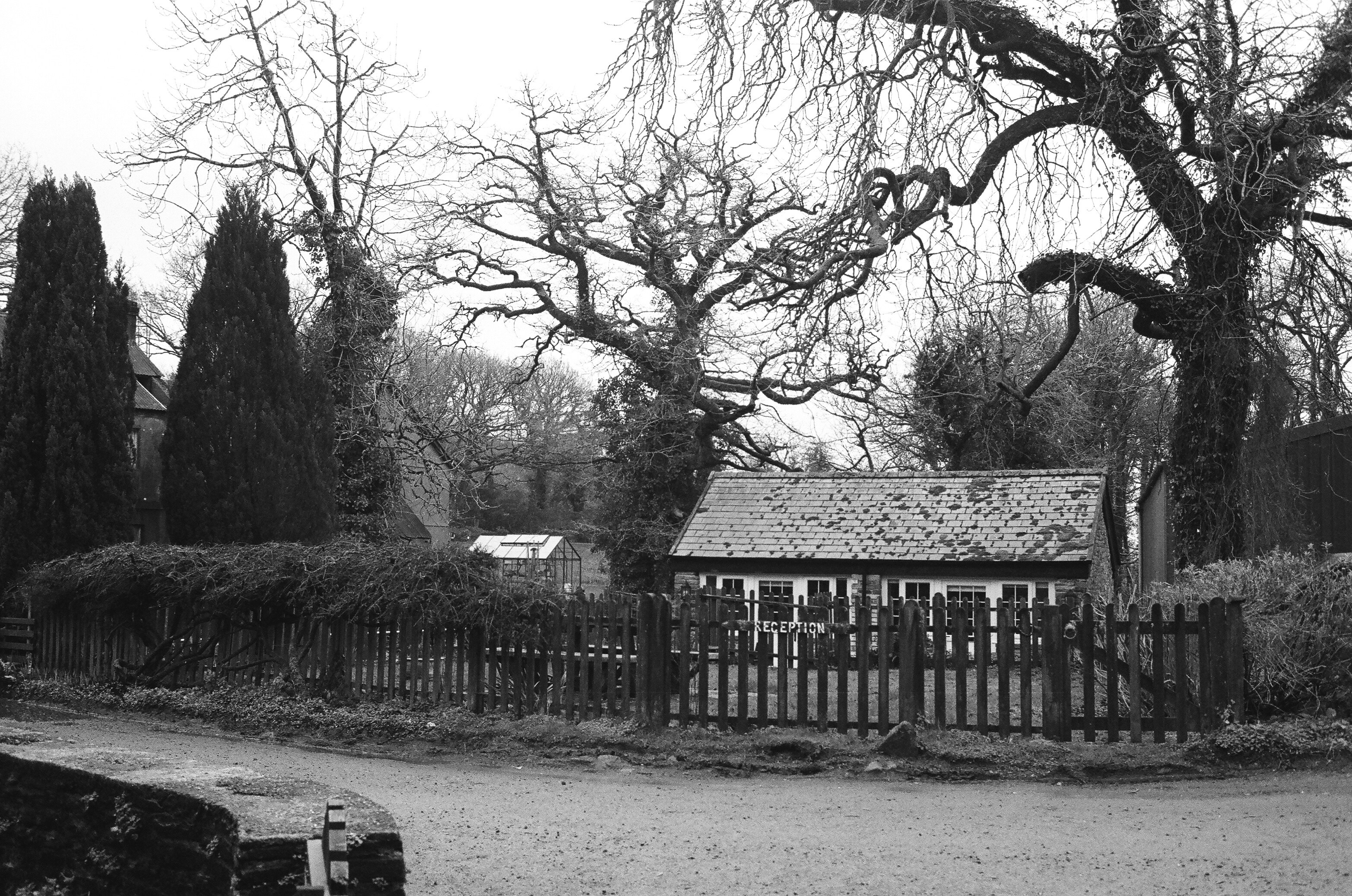 Photo by tanyabarrow