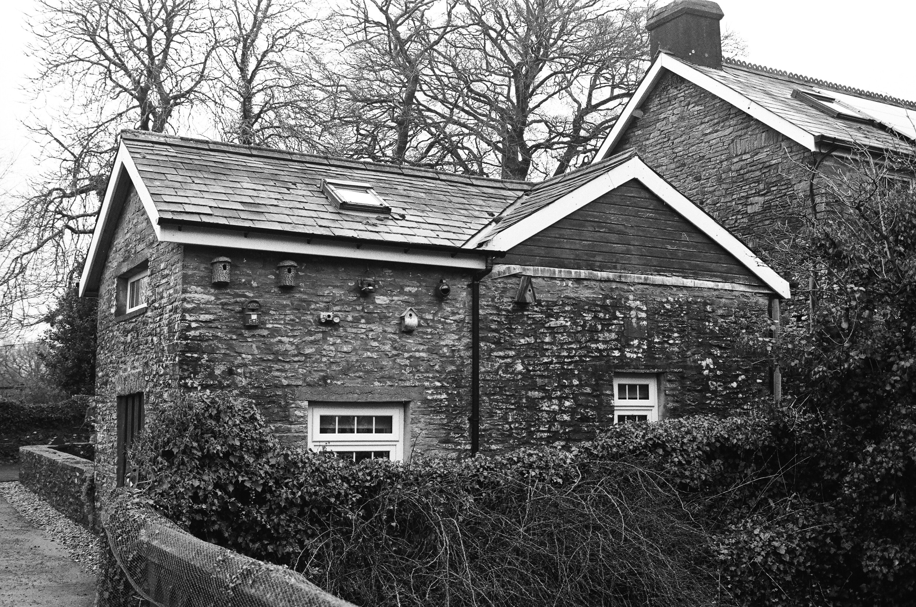 Photo by tanyabarrow