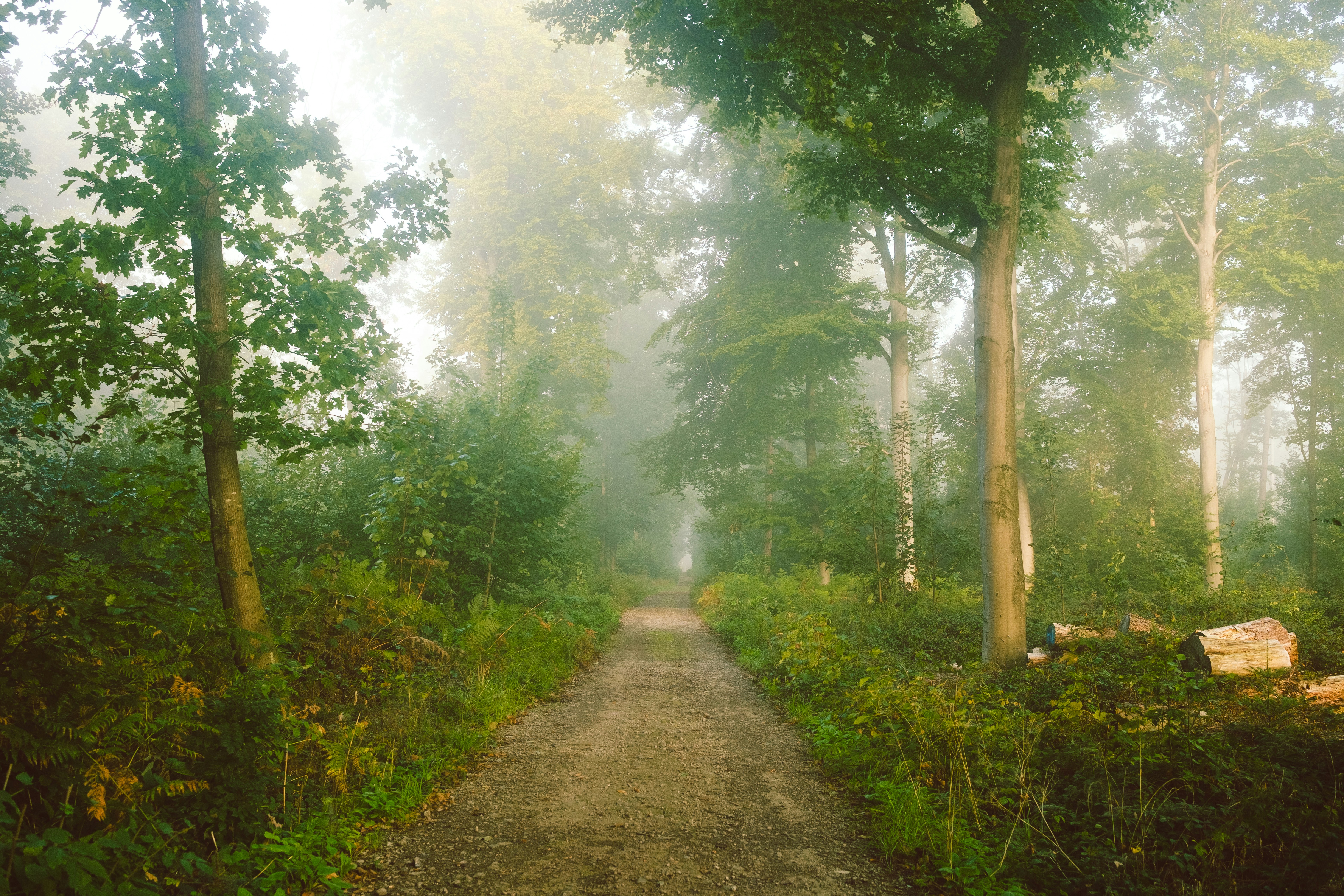 Photo by visualsbying