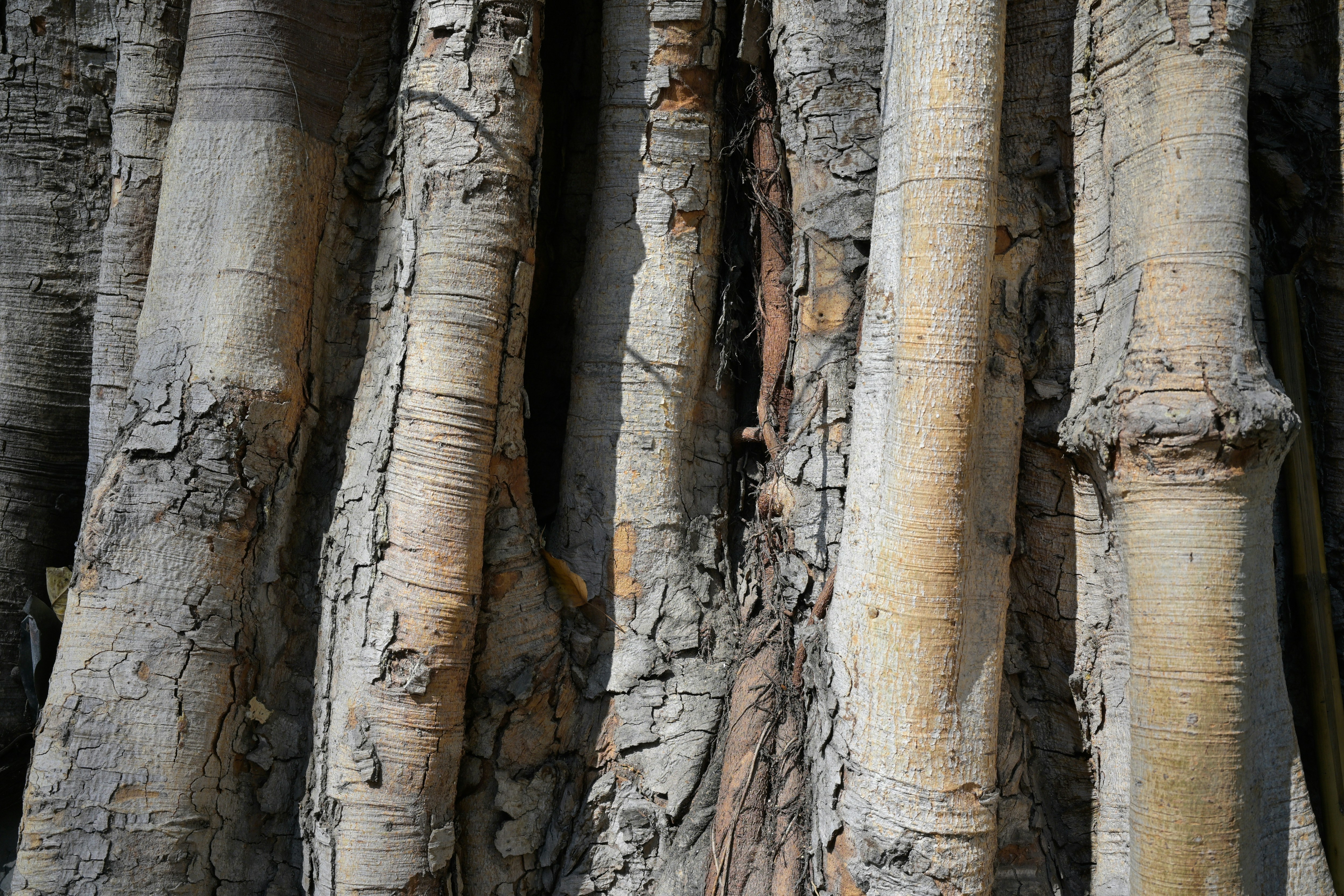 Photo by jonathankslim