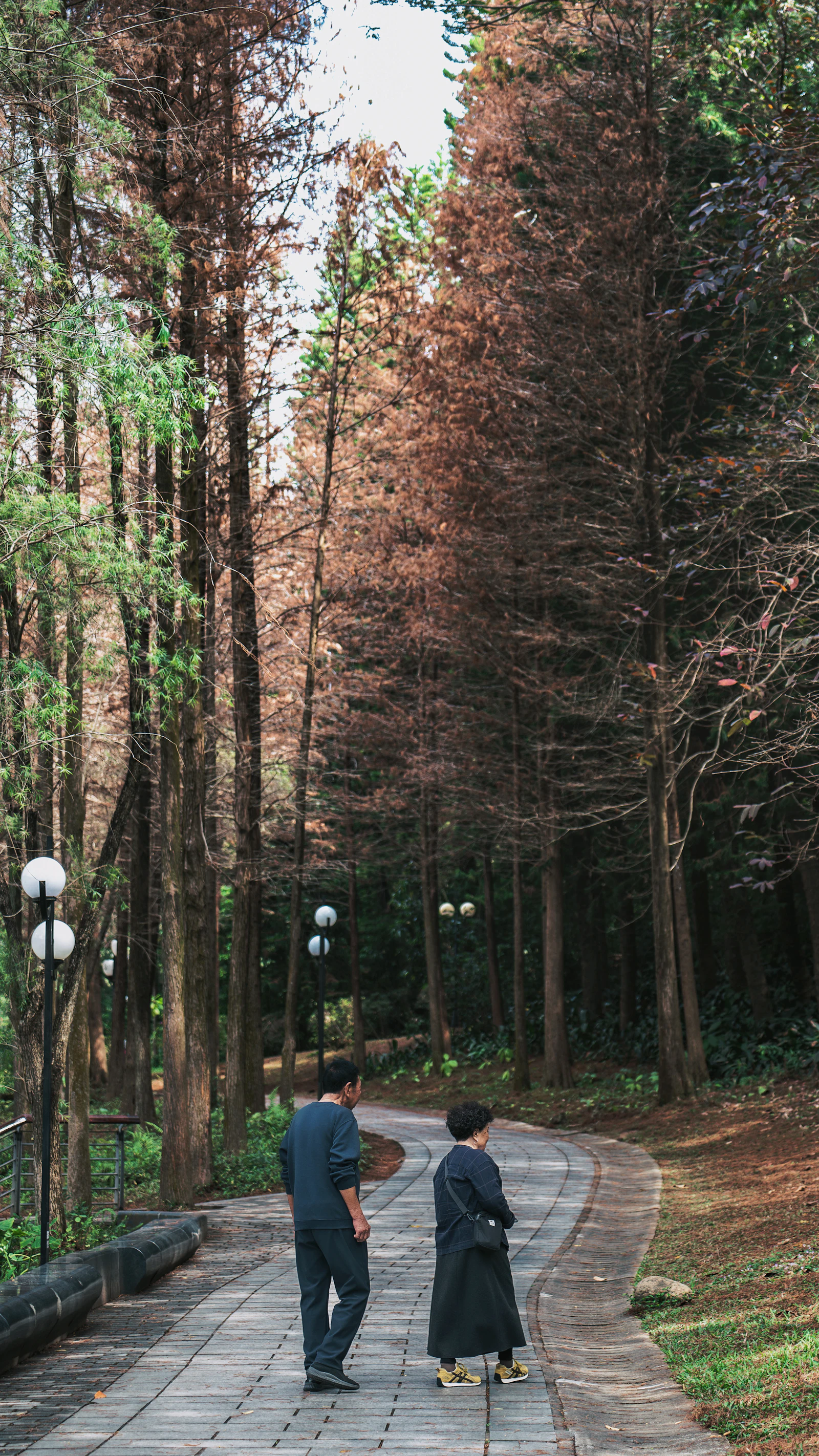 Two adults walking together on a wooded path, an example of the steady daily activity behind the 10,000 steps a day target