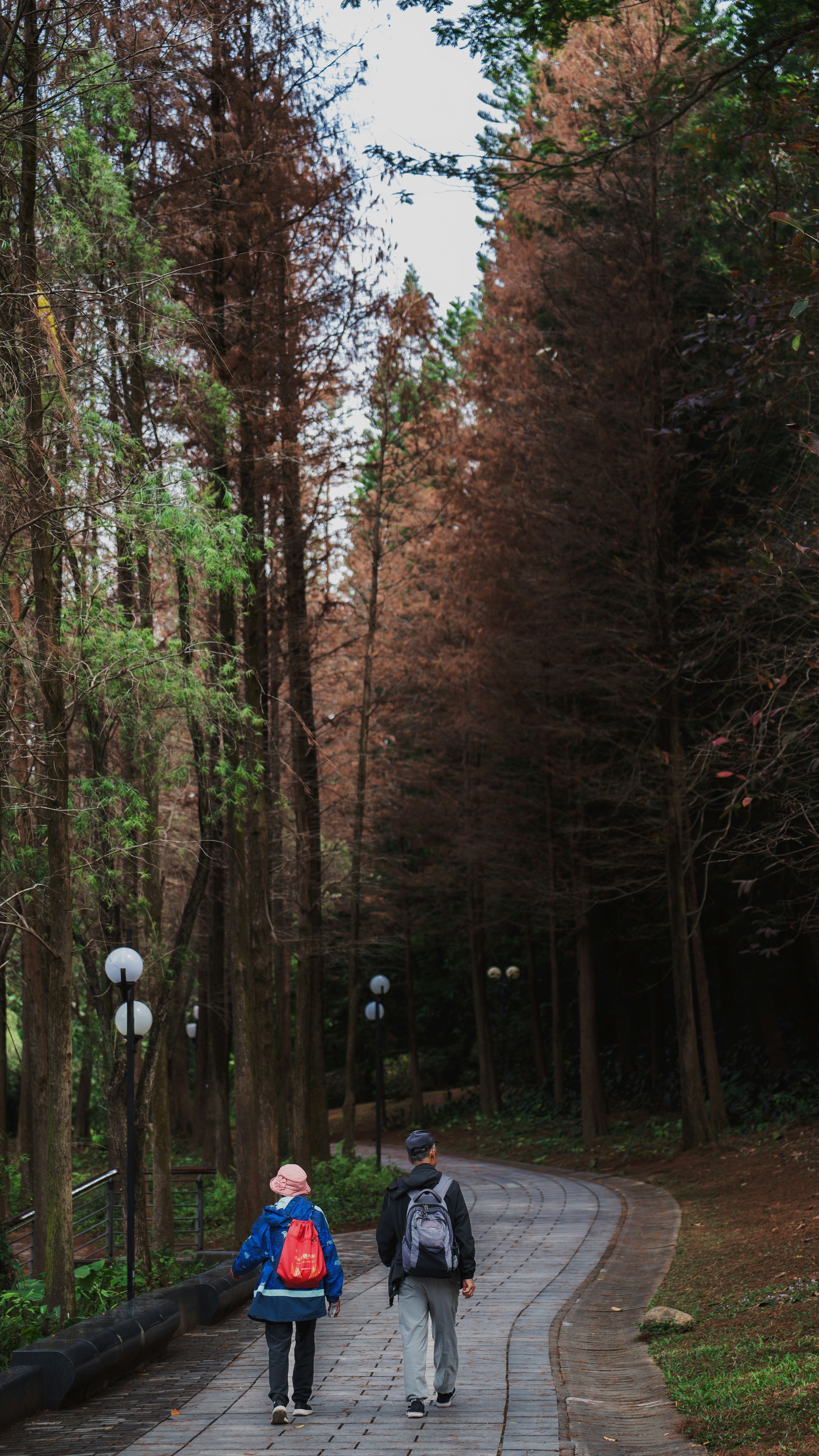 Two people walk on a paved path through a forest.