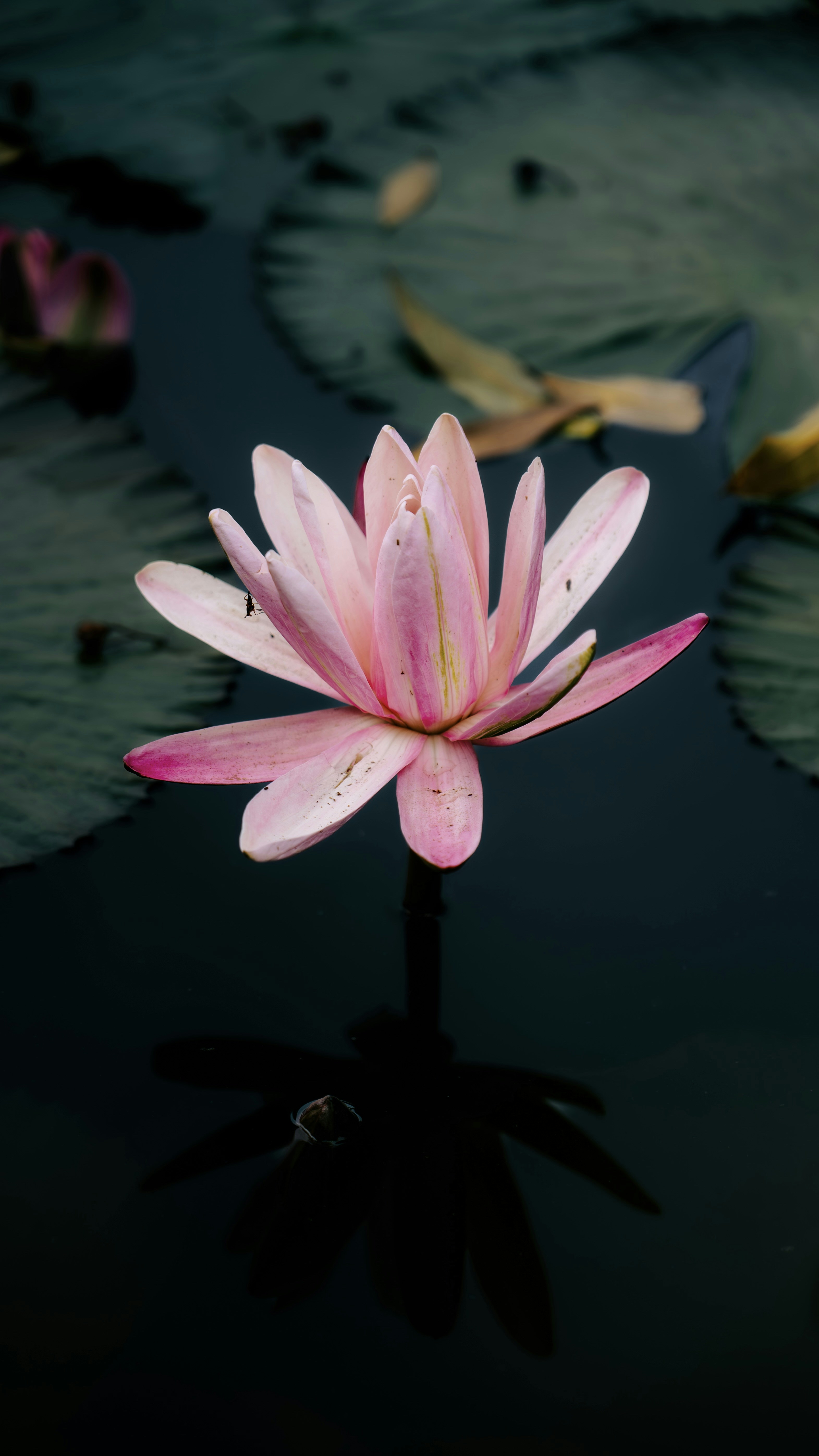 Photo by wangbinghua