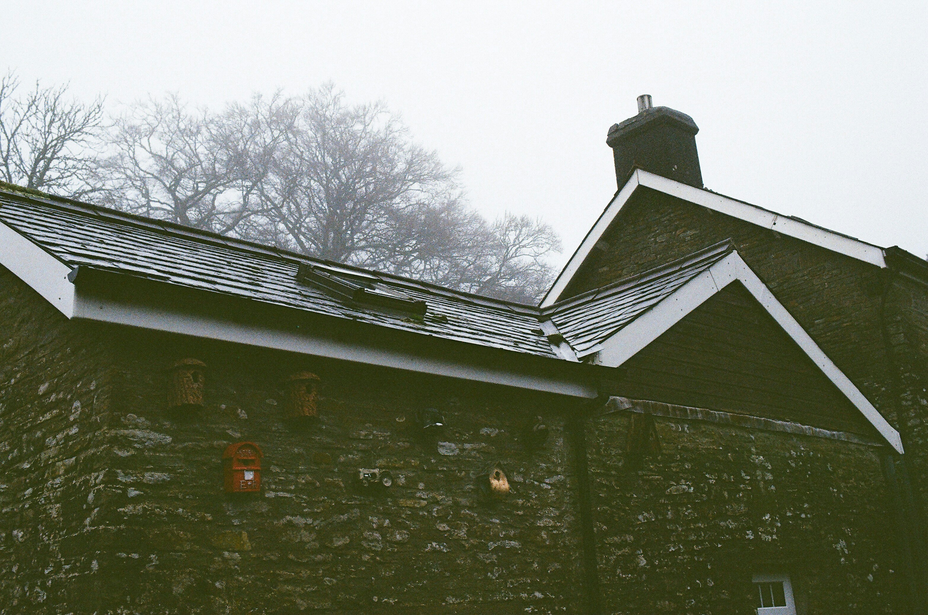 Photo by tanyabarrow