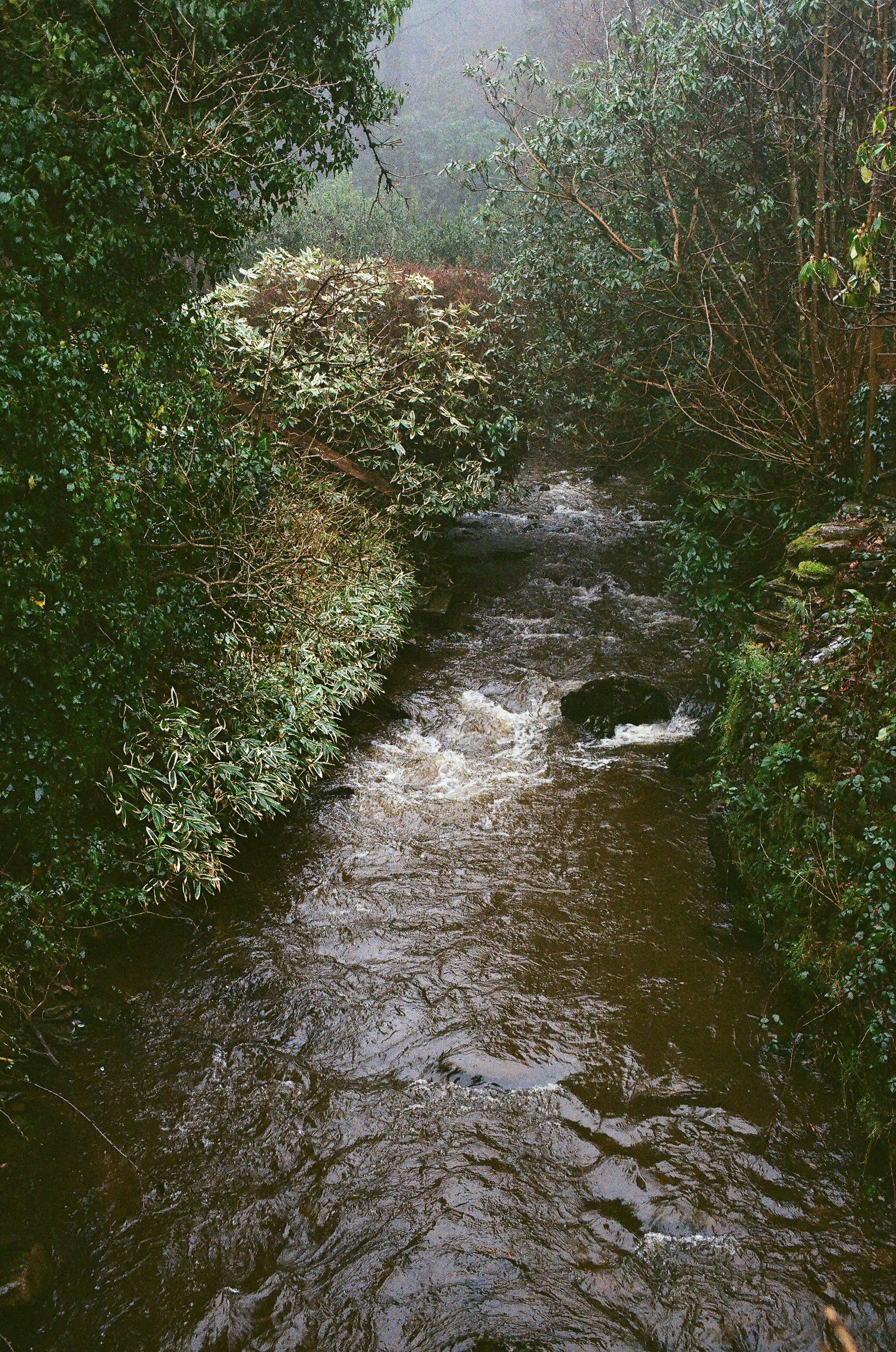 Photo by tanyabarrow