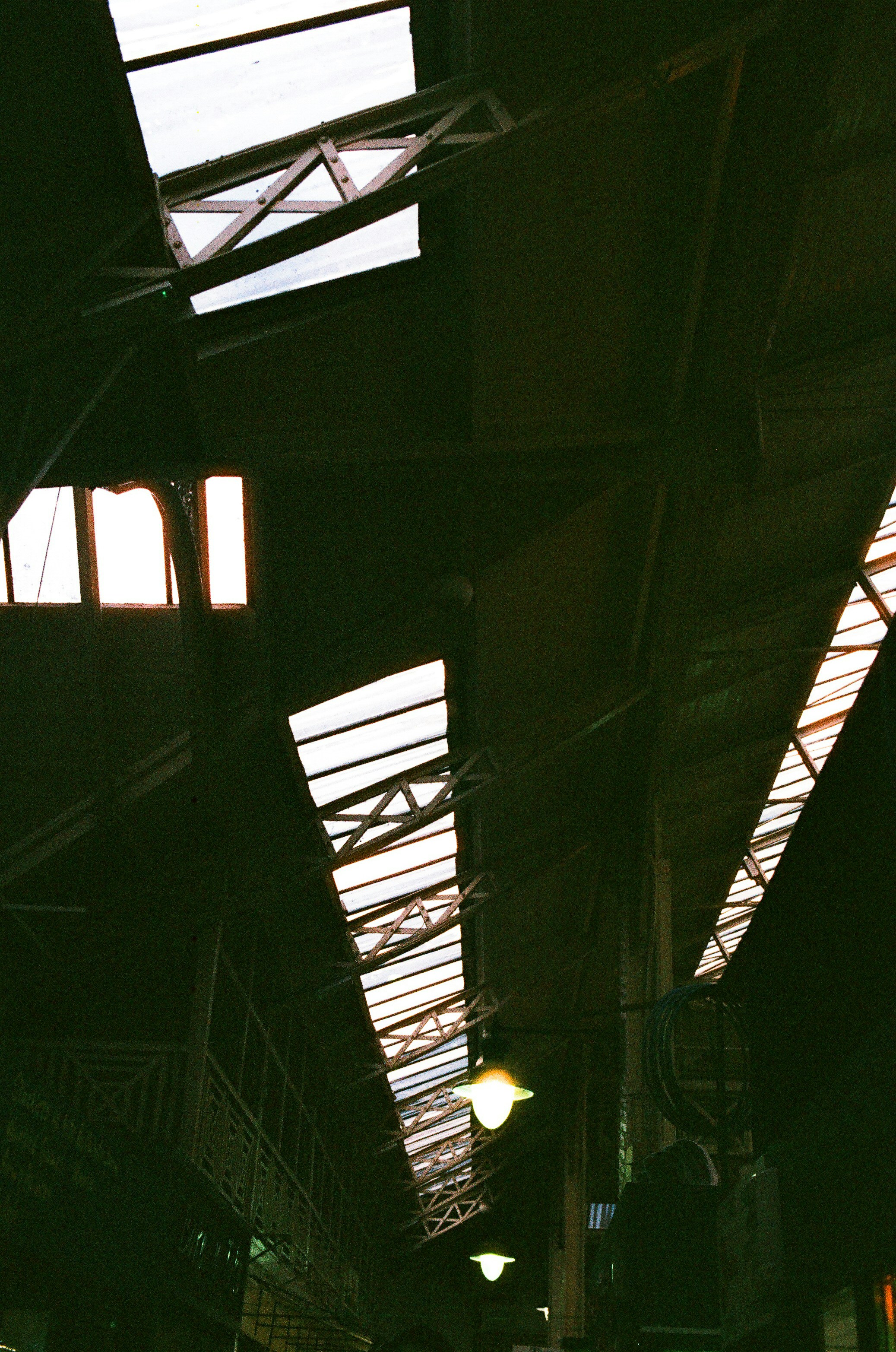 Photo by tanyabarrow