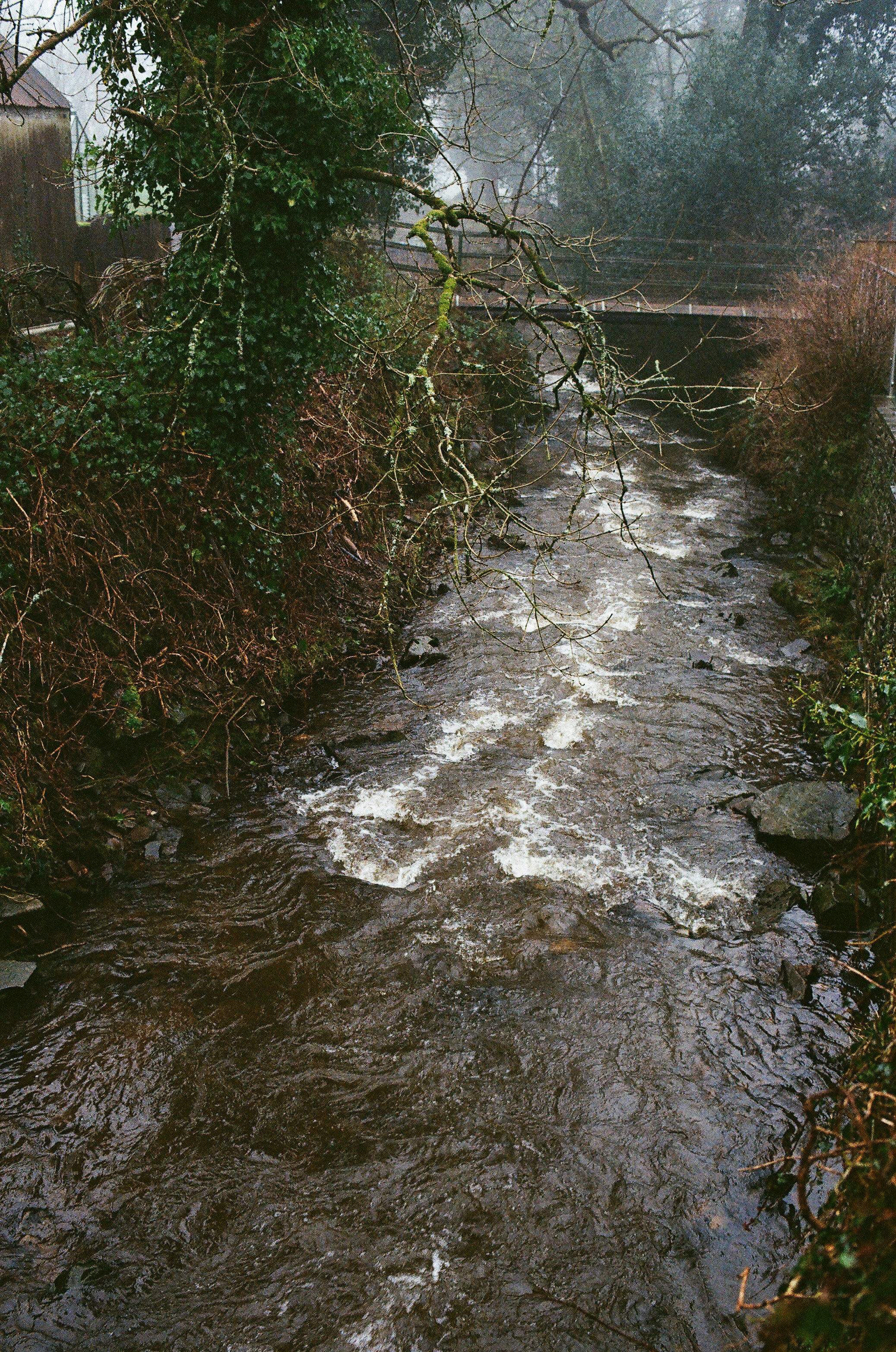 Photo by tanyabarrow