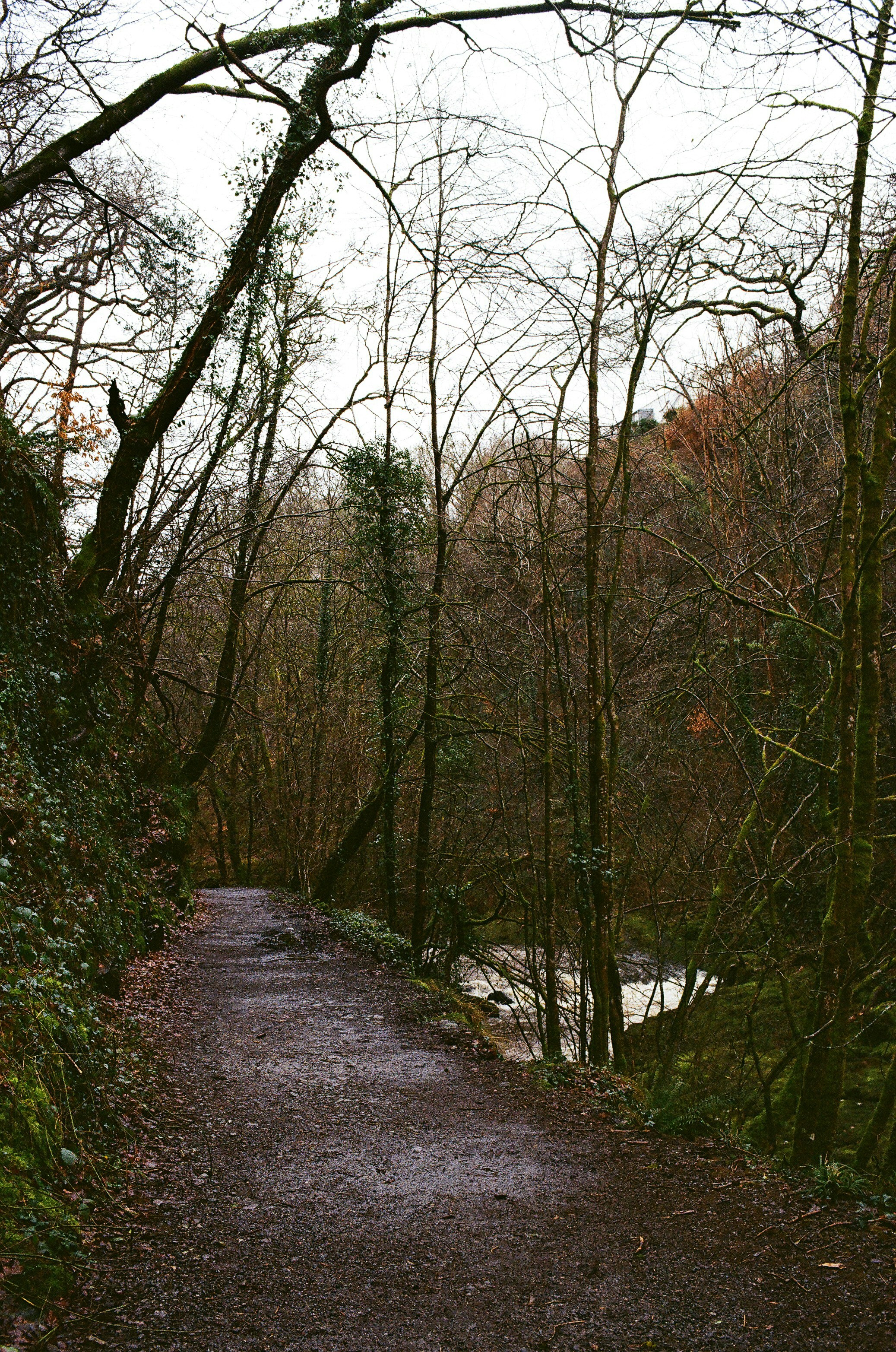 Photo by tanyabarrow