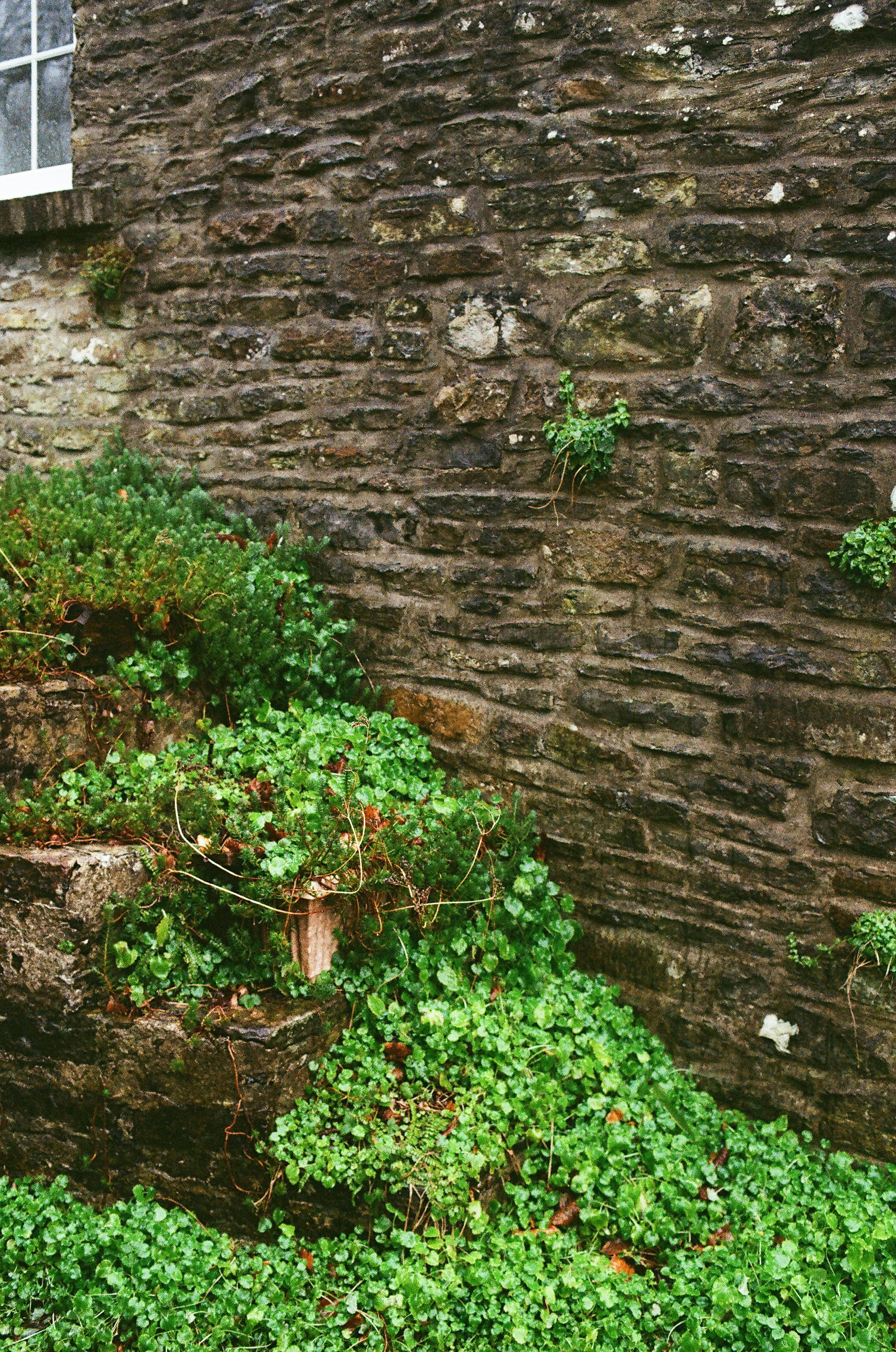 Photo by tanyabarrow