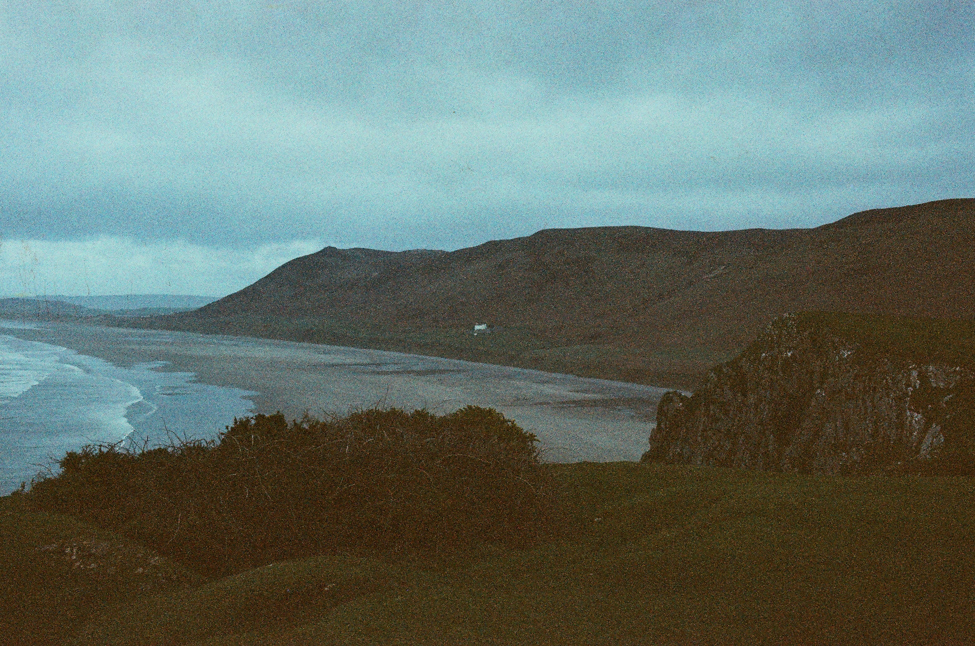 Photo by tanyabarrow