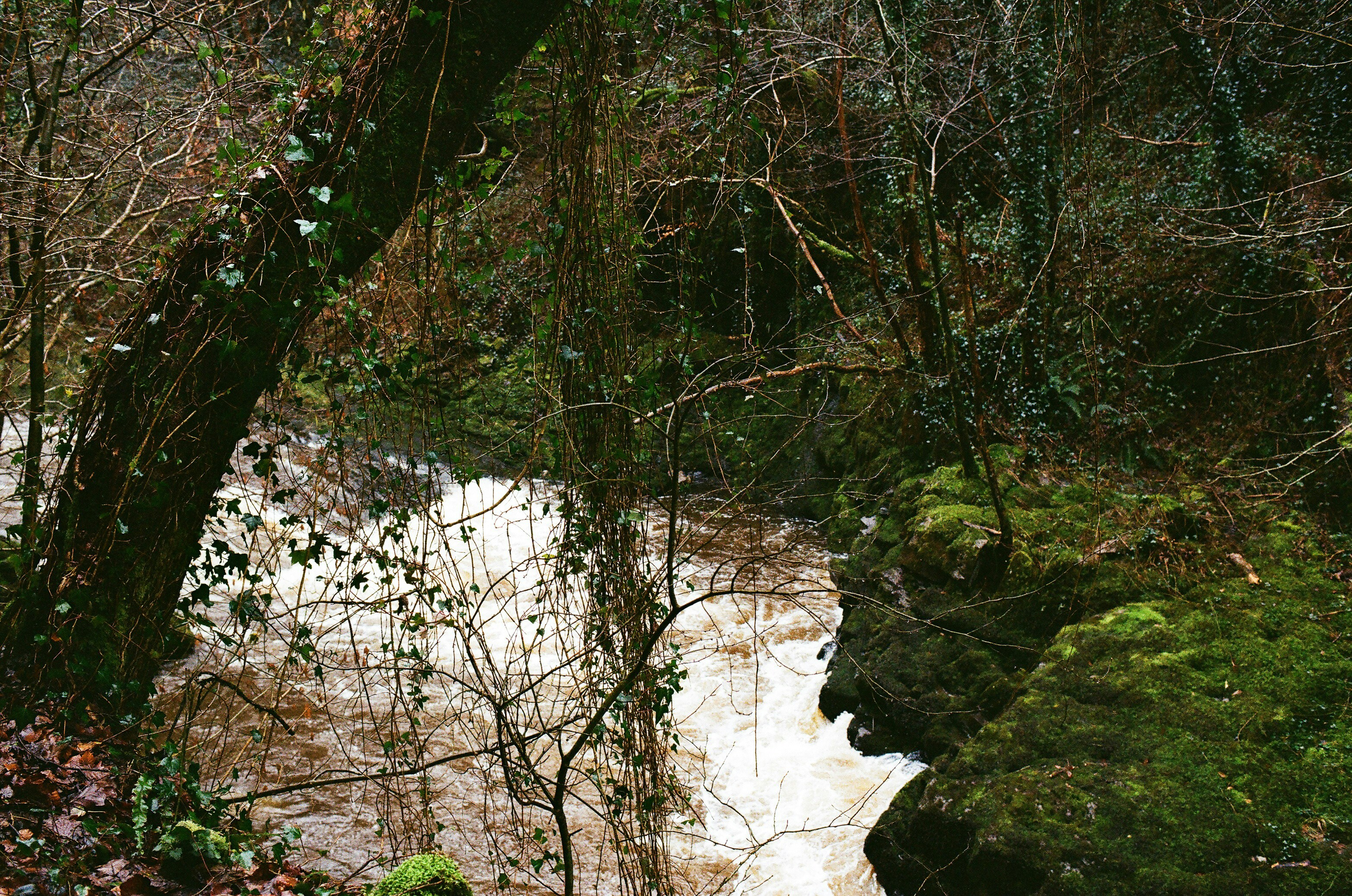 Photo by tanyabarrow