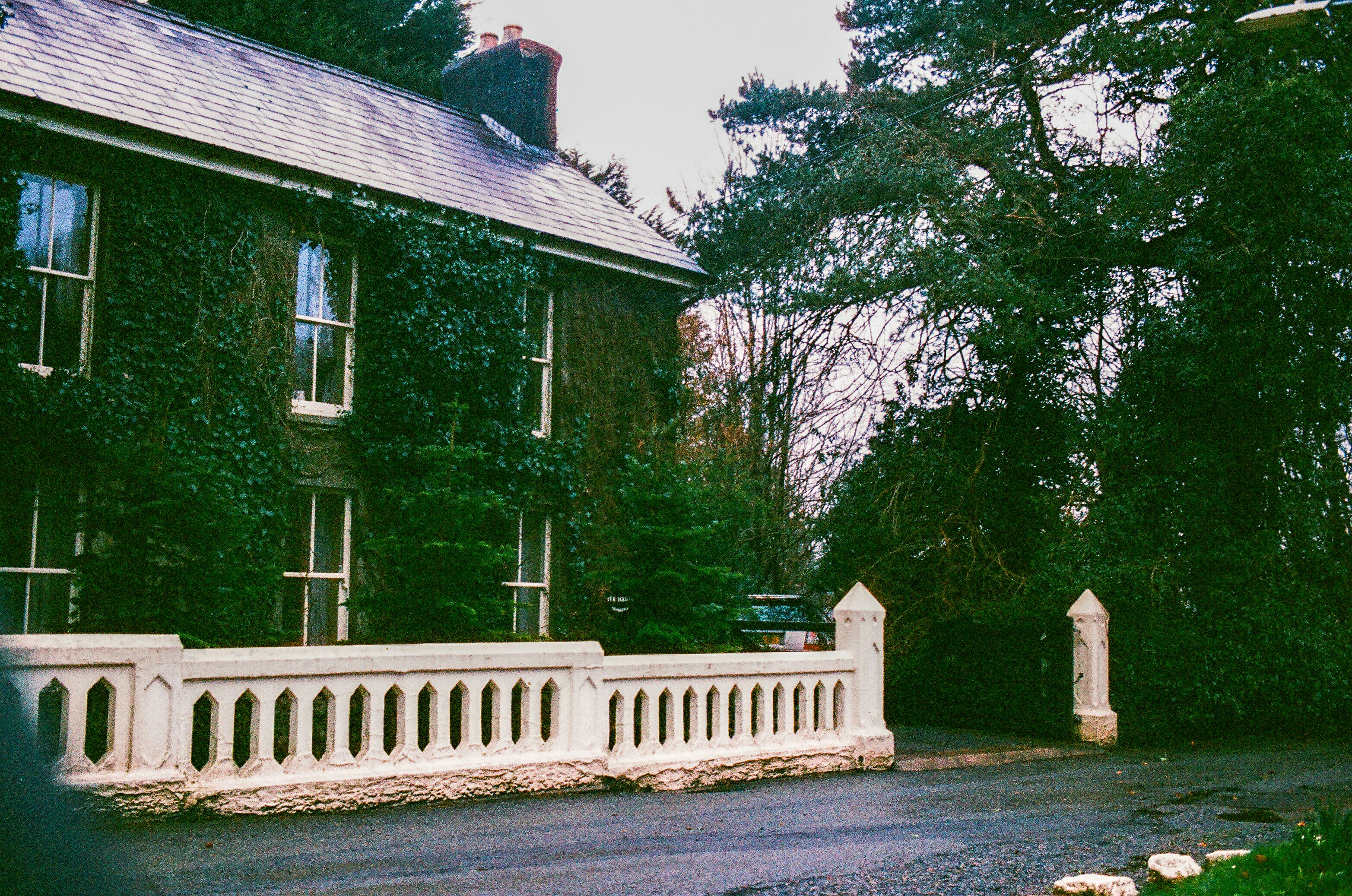 Photo by tanyabarrow