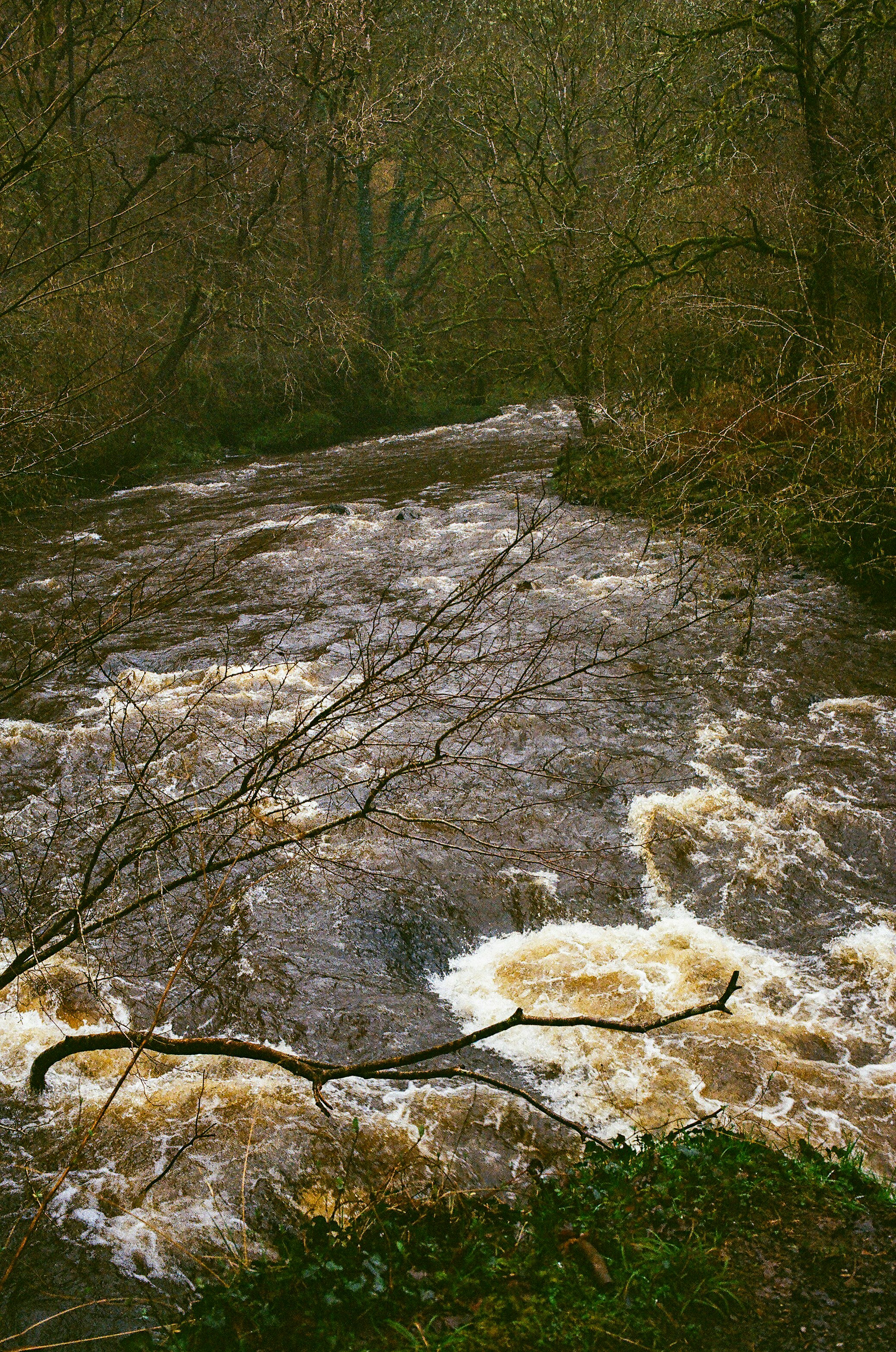 Photo by tanyabarrow