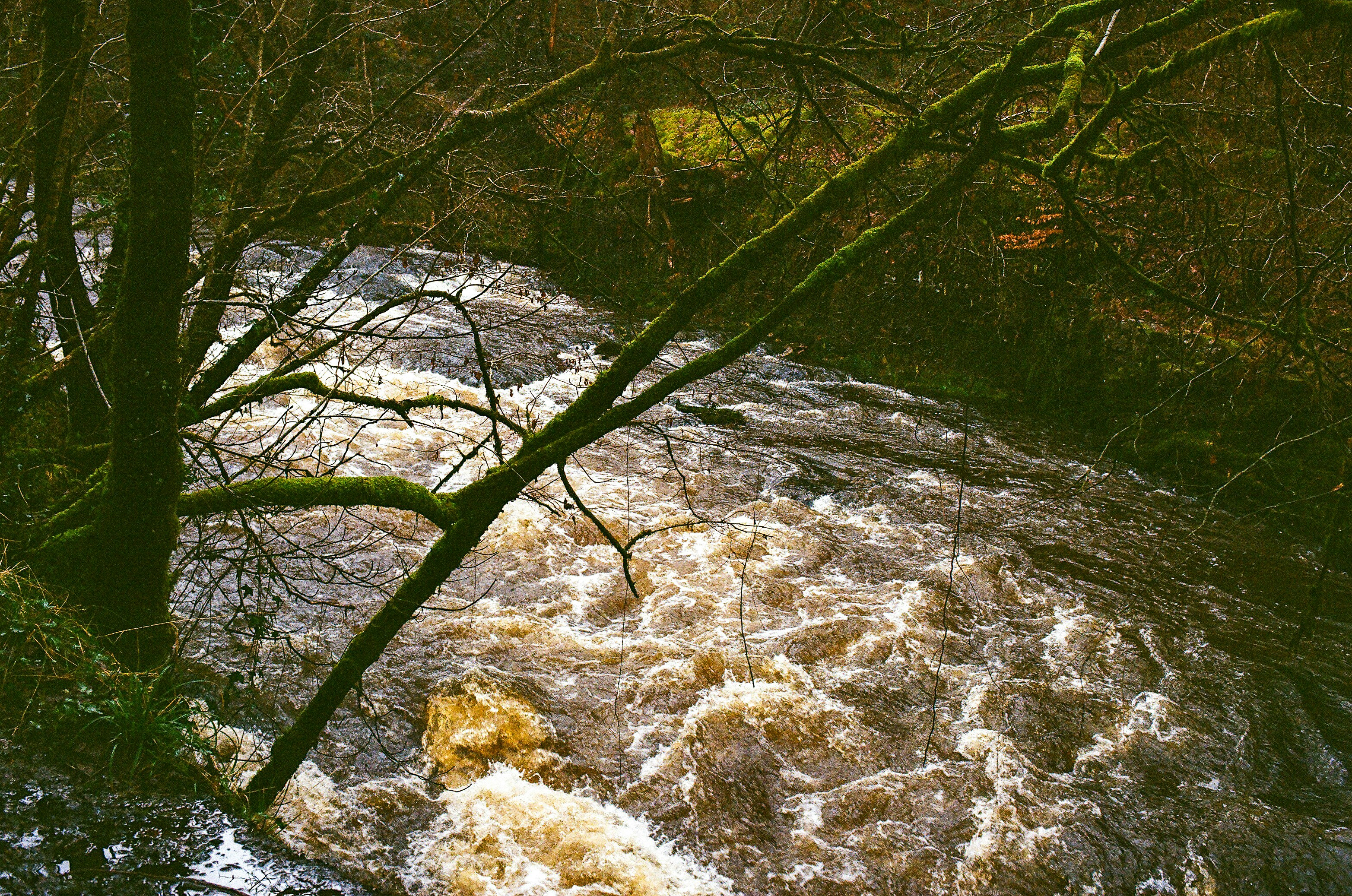 Photo by tanyabarrow