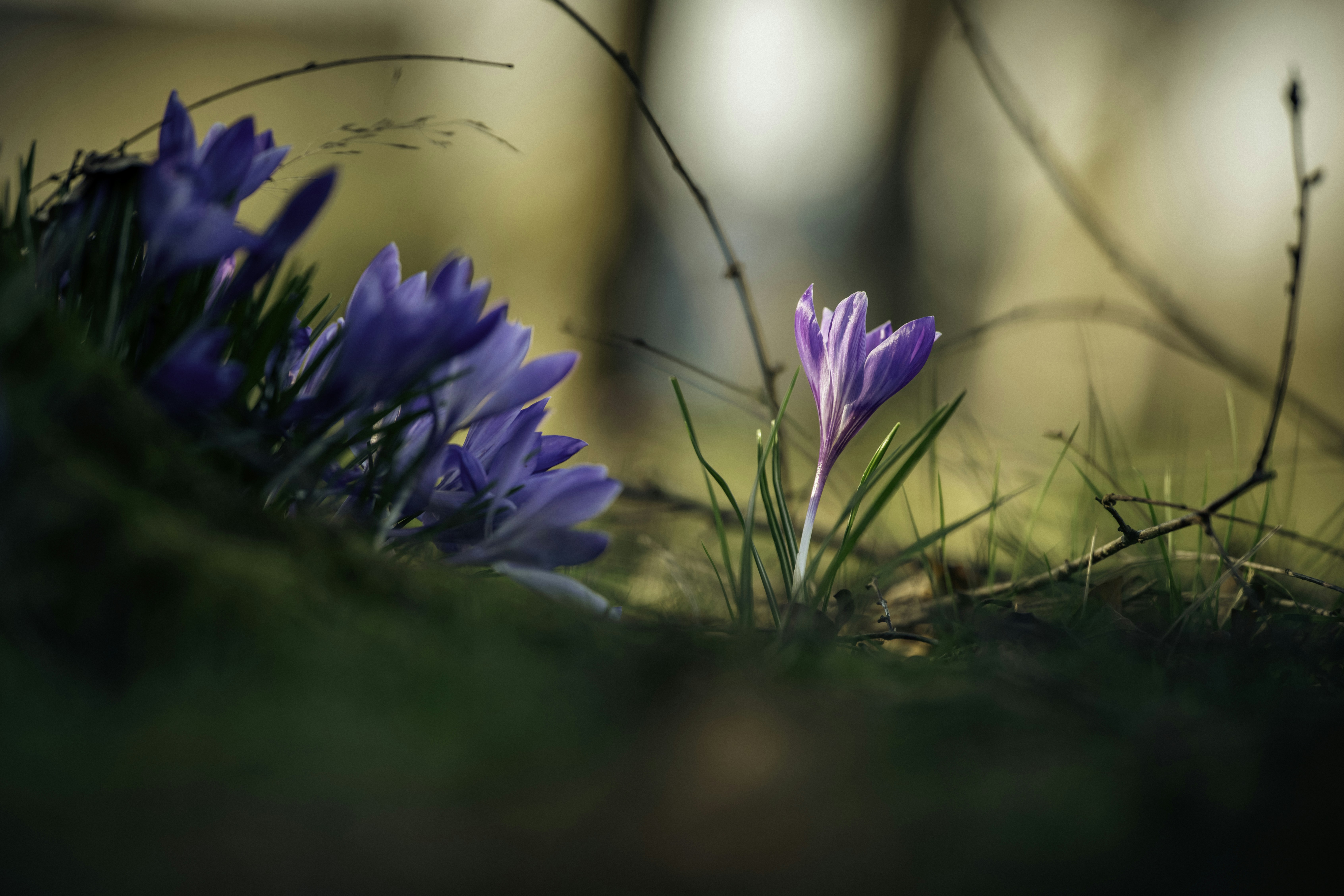 Ten Motives to Hire a Authorized Agent Today