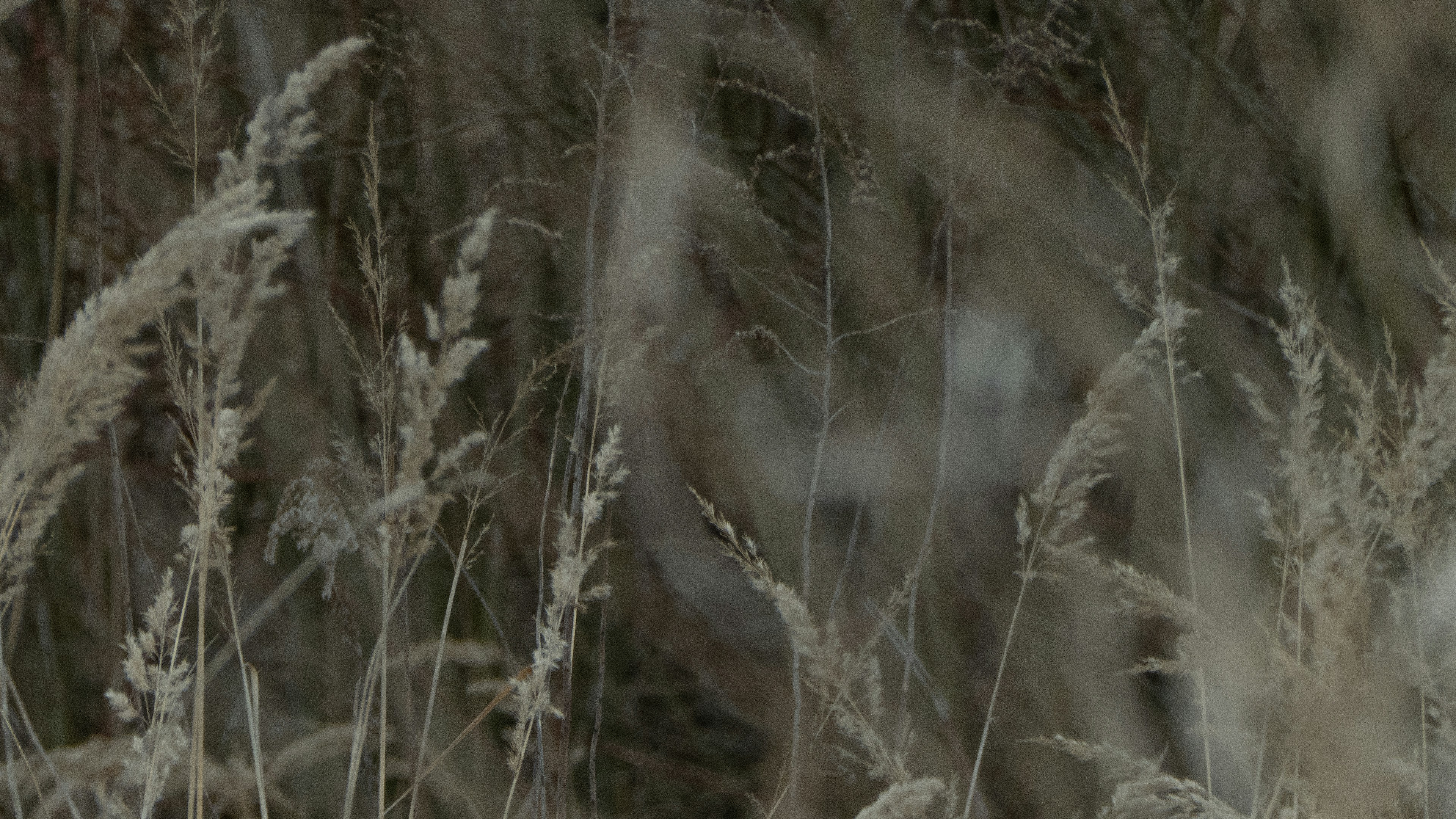 Photo by zdzieblowski