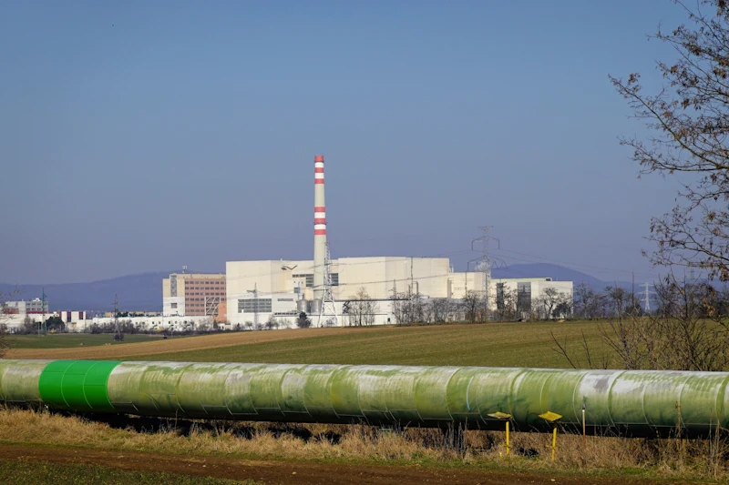 Bioenergy