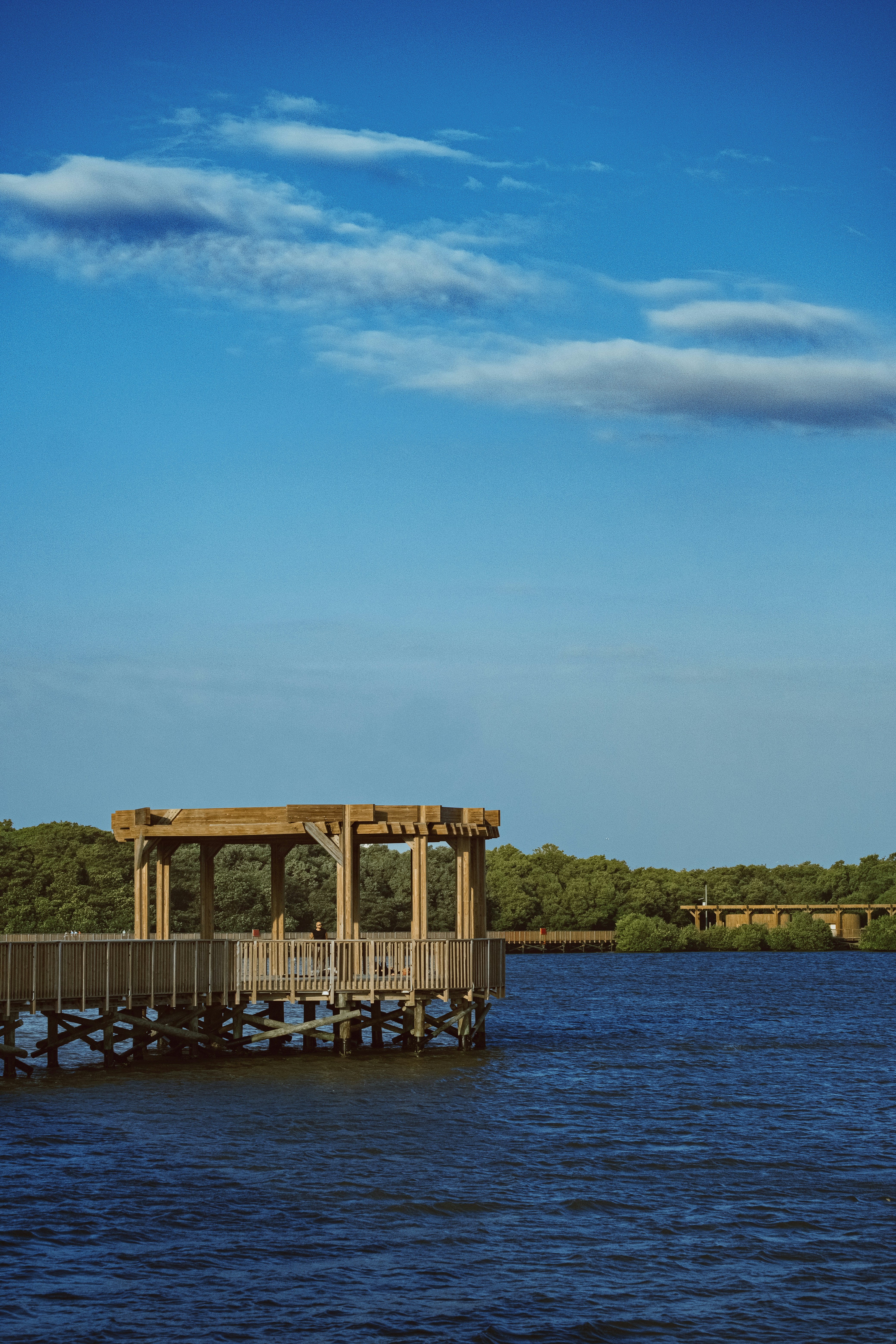 Photo by esmcreativo