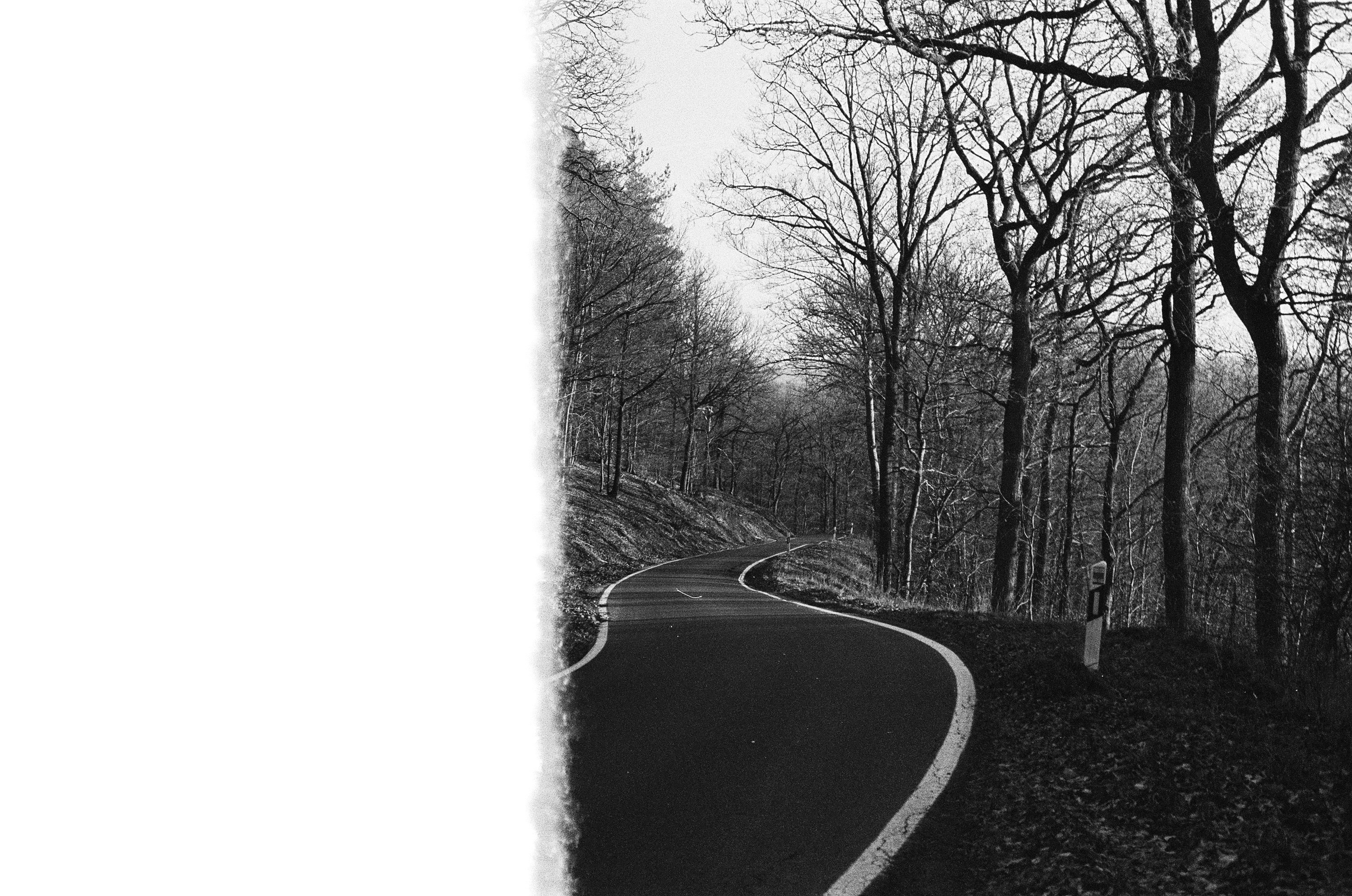 Photo by jeancarloemer