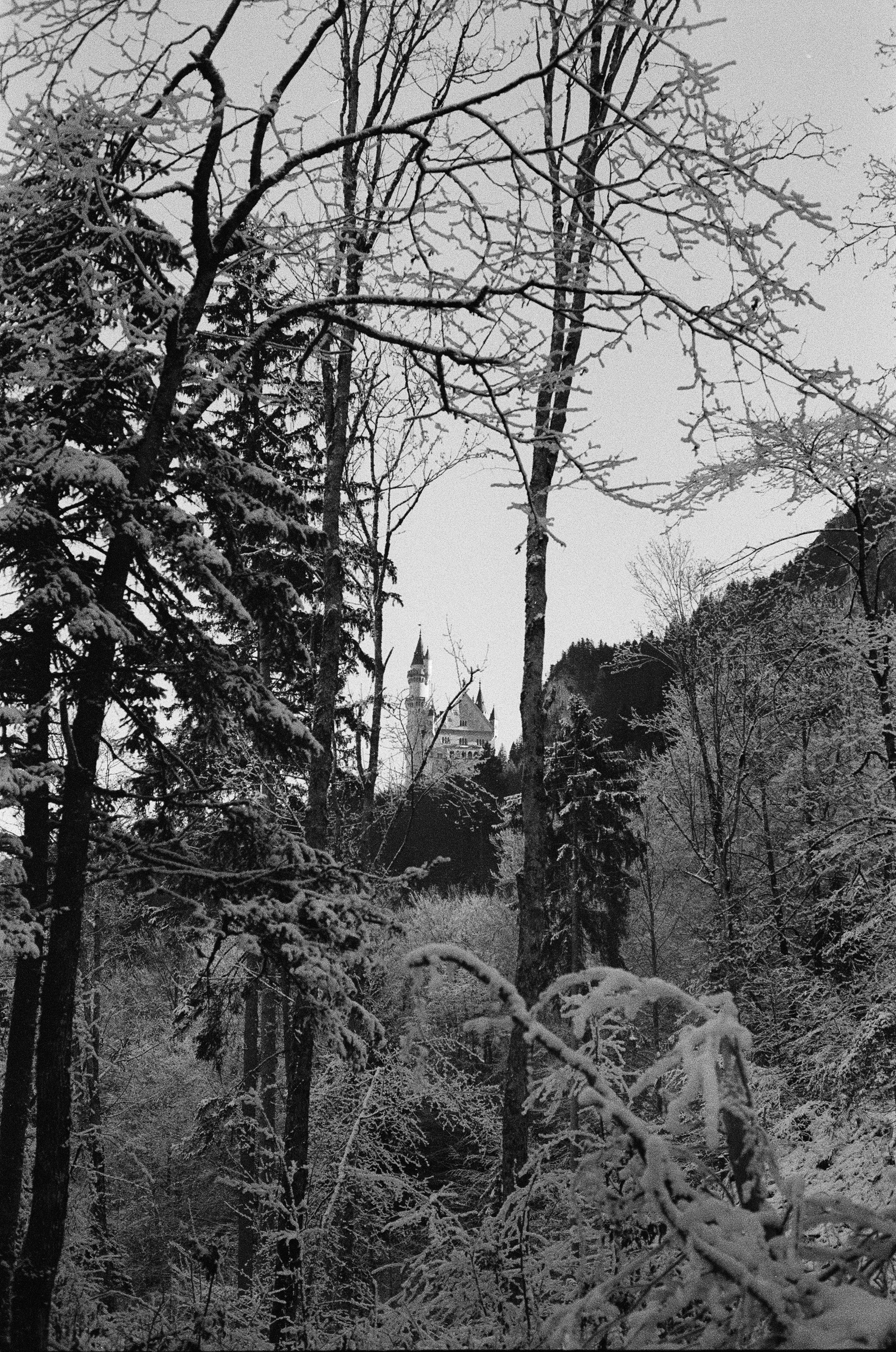 Photo by jeancarloemer