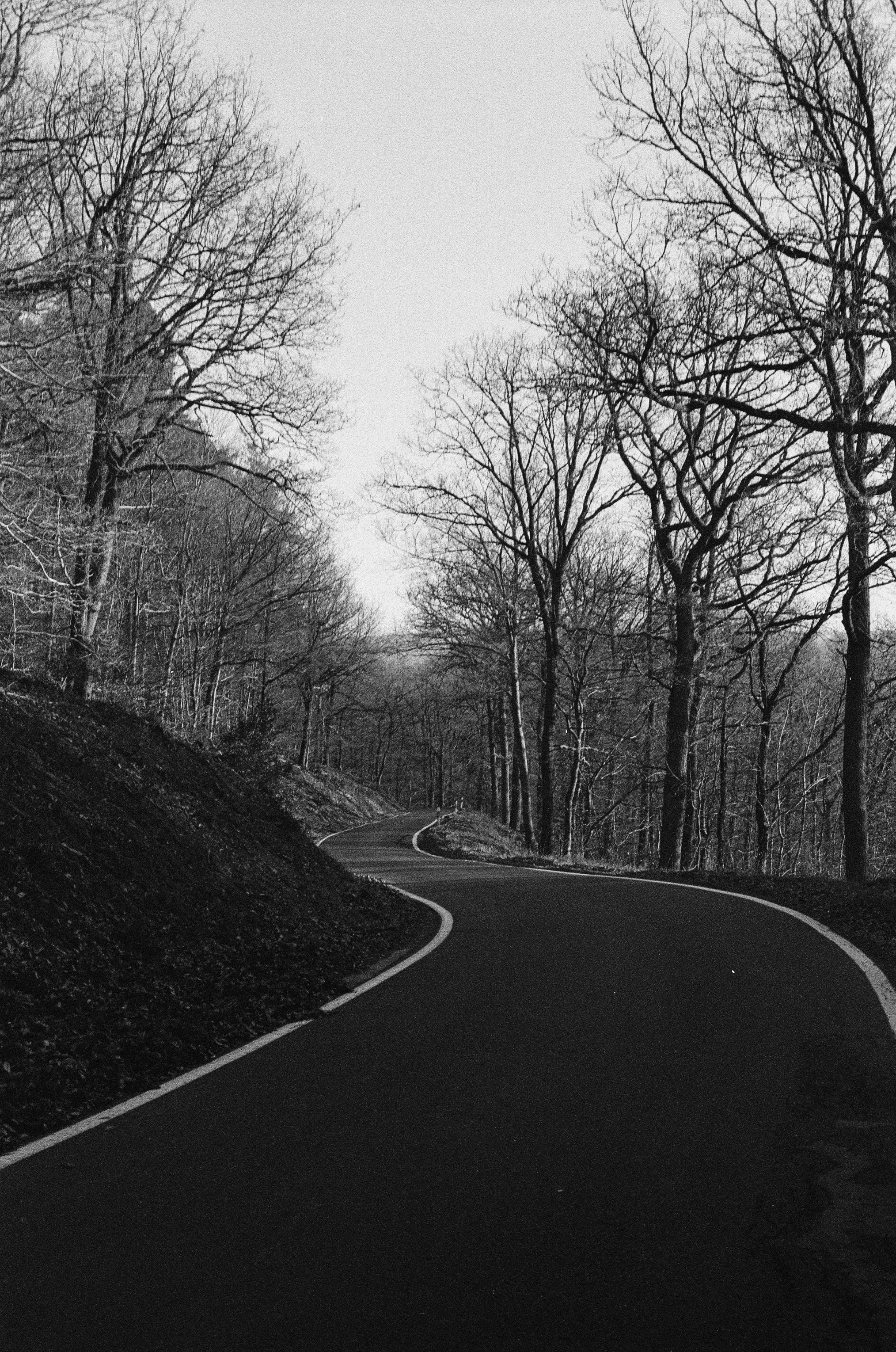 Photo by jeancarloemer