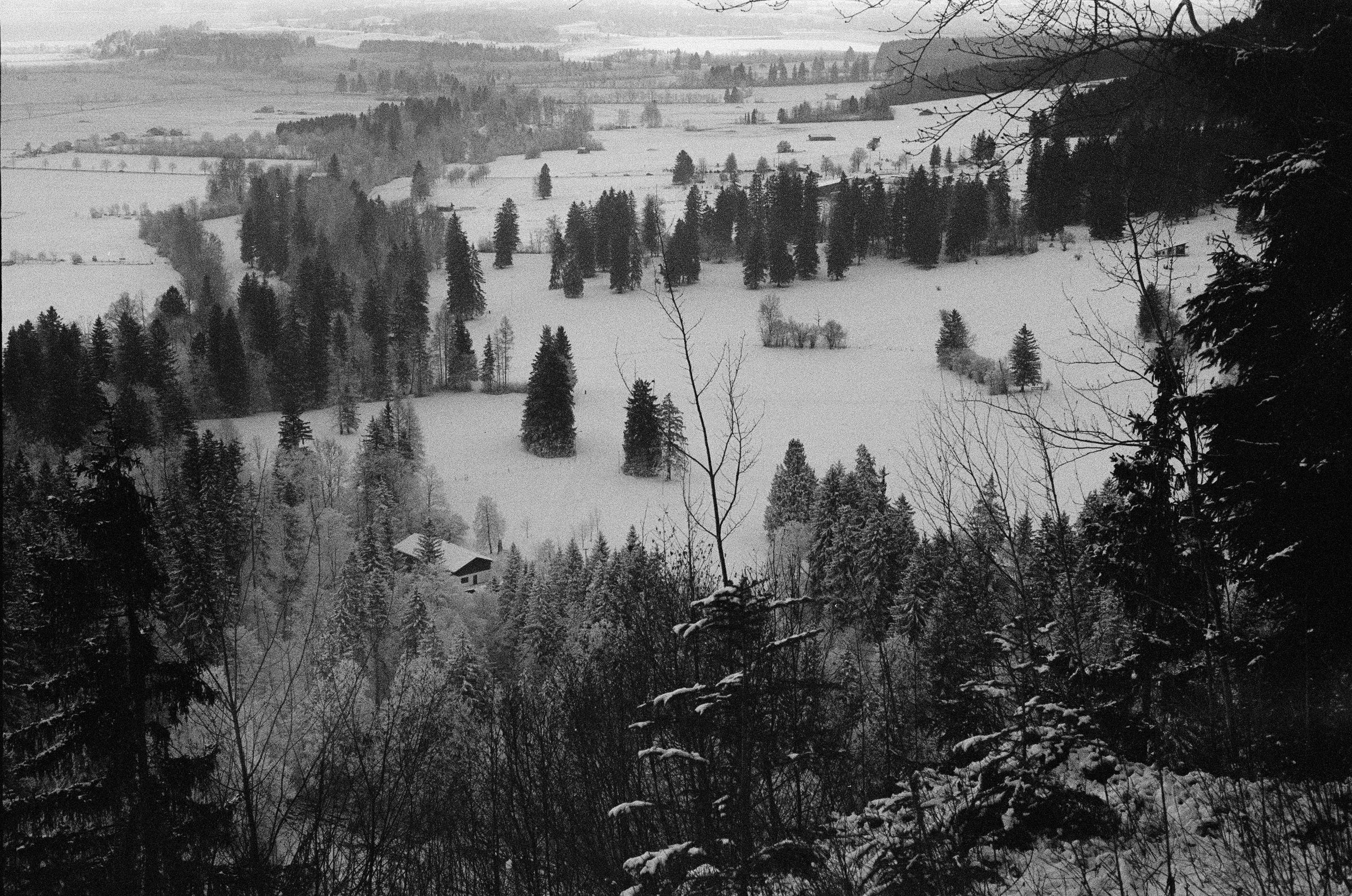 Photo by jeancarloemer