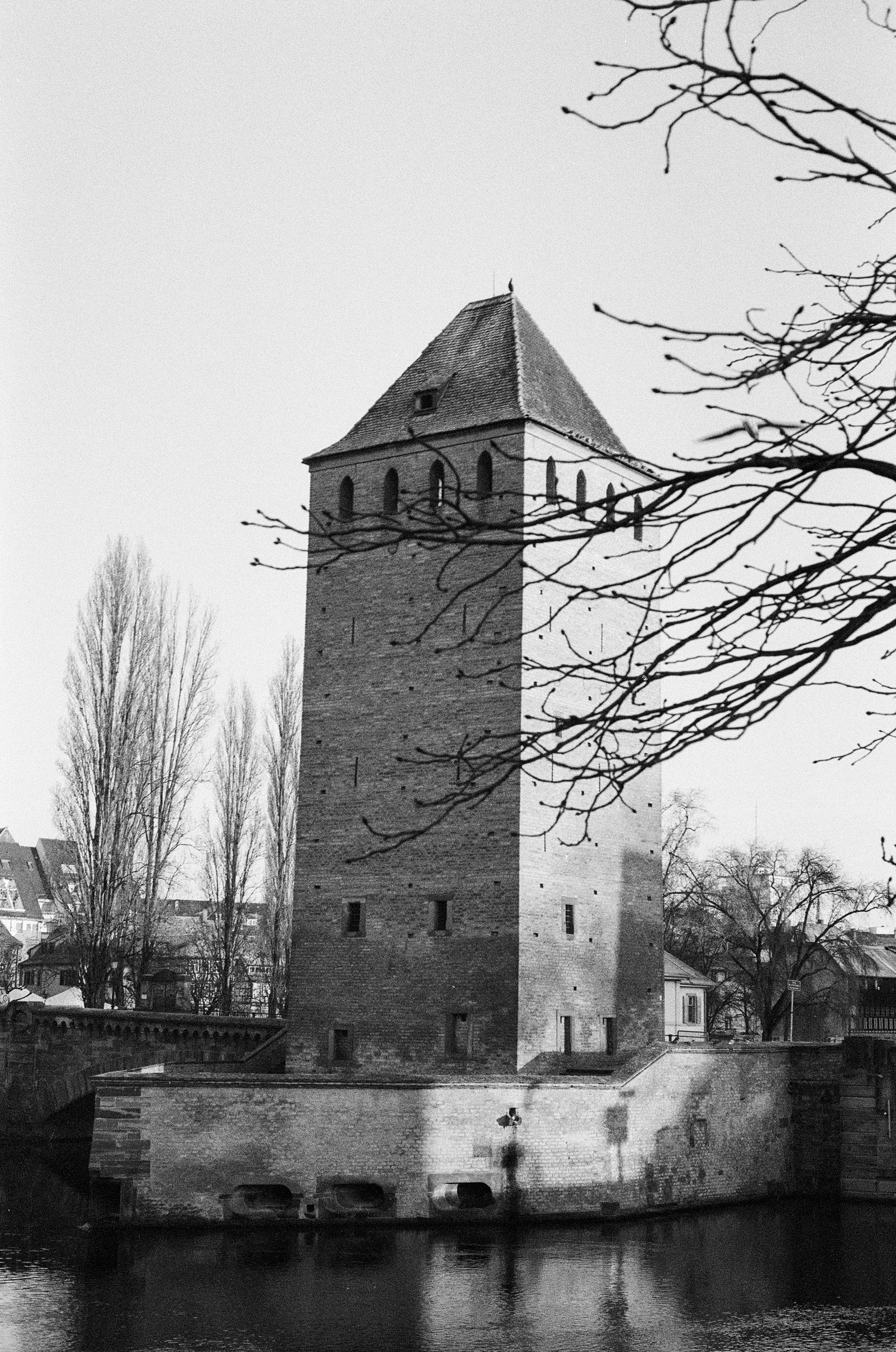 Tour historique en brique près d’un canal aux arbres nus
