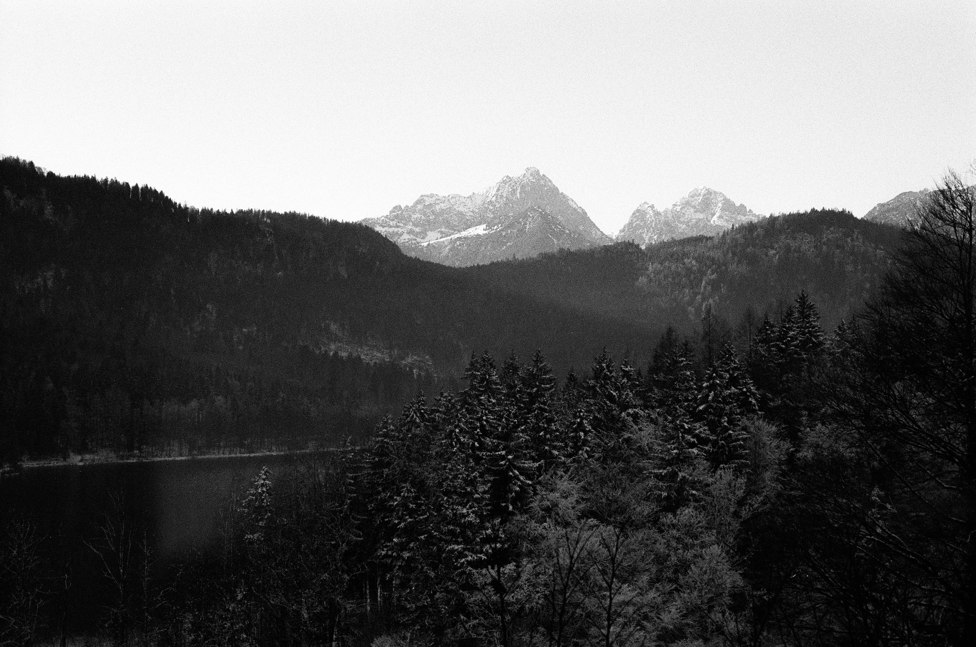 Photo by jeancarloemer