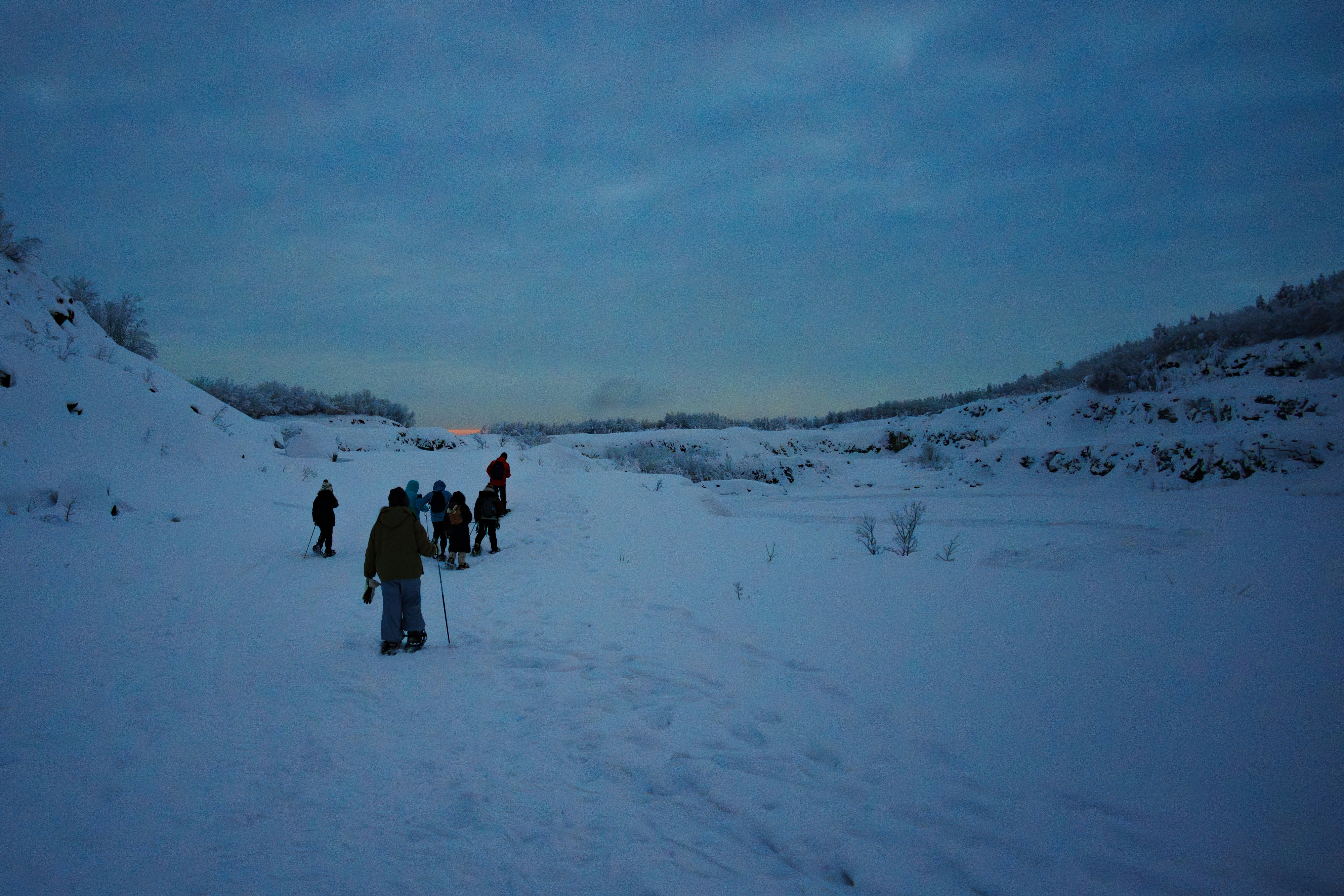 Polar Ready: The Non-Negotiable Skills and Gear Every First-Time Arctic Expeditioner Must Have