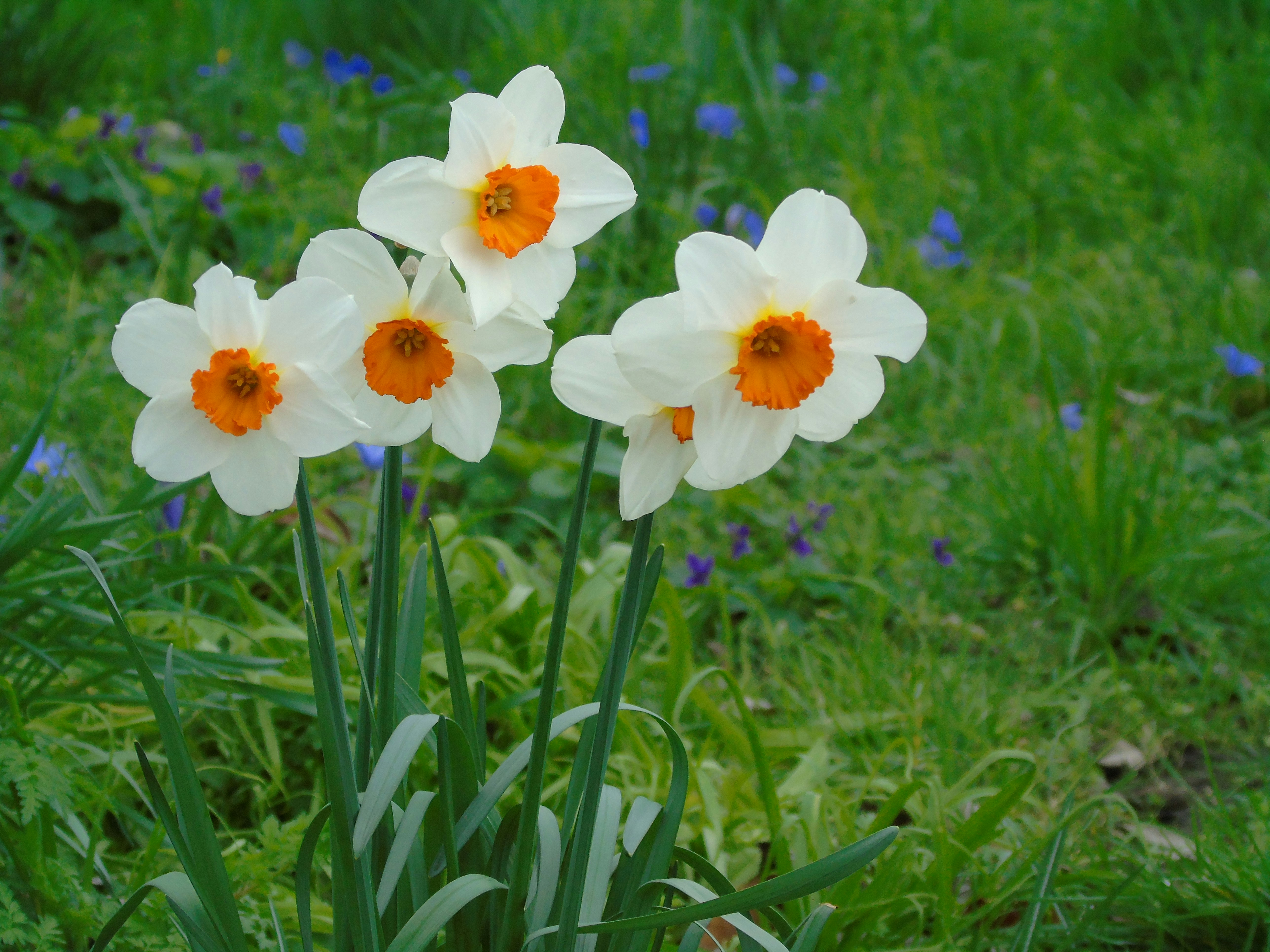 Photo by brookehannah